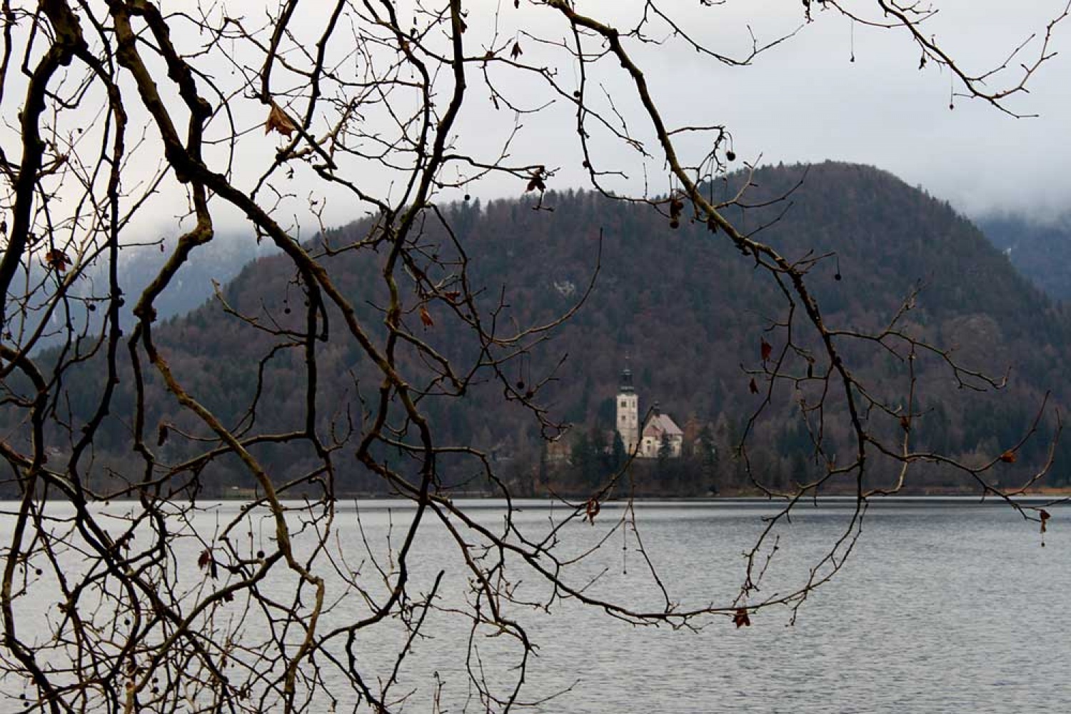 Za osvežitev spomina: V začetku  decembra smo se na Bledu zbrali znanja željni skavti iz vse Slovenije. Na dvodnevnem seminarju smo spoznavali osnove pisanja za internetni medij. Hkrati pa smo se s pomočjo Tamina Petelinška, ki se že vrsto let ukvarja s fotografijo, tudi  izpopolnjevali na tem področju. 


(tukaj sem prilepila tudi članek, ker mi iz neznanega razloga ne odpre spodnjega okna za vsebino novice)
Čeprav se je seminar zaključil, pa smo vsi nestrpno pričakovali Taminove komentarje na naše foto zgodbe. Kot nam je bilo obljubljeno, smo jih prejeli na e-mail naslove. V komentarju nam je Tamino podal svoje mnenje in nasvete kako svoje znanje še nadgraditi. Nekaterim je pokazal  nov pogled na njihovo zgodbo in tako širil naše polje znanja. Drugim je fotografije malo priredil, mogoče kje povečal kontraste ali pa odrezal kakšen odvečni del. Ob koncu pa nas je pozval, da se še kdaj s konkretnim vprašanjem obrnemo nanj, saj z vsako novo informacijo širimo obzorja.

Tako se jaz ob začetku leta obračam na vas: Sprašujte, poslušajte in si zapomnite, saj s tem gradite svojo zakladnico znanja. Vse dobro v novem letu!

V imenu udeležencev seminarja  in ekipe Skavt.NET-a se zahvaljujem obema gostoma seminarja. Tako Tonetu, kot Taminu, ki sta bila pripravljena z nami deliti svoj čas, znanje in predvsem izkušnje.

V spodnji galeriji, pa si lahko ogledate končne izdelke naše foto zgodbe.