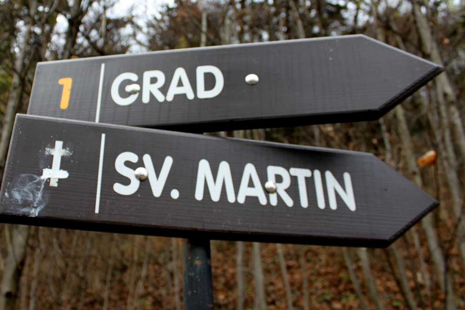 Za osvežitev spomina: V začetku  decembra smo se na Bledu zbrali znanja željni skavti iz vse Slovenije. Na dvodnevnem seminarju smo spoznavali osnove pisanja za internetni medij. Hkrati pa smo se s pomočjo Tamina Petelinška, ki se že vrsto let ukvarja s fotografijo, tudi  izpopolnjevali na tem področju. 


(tukaj sem prilepila tudi članek, ker mi iz neznanega razloga ne odpre spodnjega okna za vsebino novice)
Čeprav se je seminar zaključil, pa smo vsi nestrpno pričakovali Taminove komentarje na naše foto zgodbe. Kot nam je bilo obljubljeno, smo jih prejeli na e-mail naslove. V komentarju nam je Tamino podal svoje mnenje in nasvete kako svoje znanje še nadgraditi. Nekaterim je pokazal  nov pogled na njihovo zgodbo in tako širil naše polje znanja. Drugim je fotografije malo priredil, mogoče kje povečal kontraste ali pa odrezal kakšen odvečni del. Ob koncu pa nas je pozval, da se še kdaj s konkretnim vprašanjem obrnemo nanj, saj z vsako novo informacijo širimo obzorja.

Tako se jaz ob začetku leta obračam na vas: Sprašujte, poslušajte in si zapomnite, saj s tem gradite svojo zakladnico znanja. Vse dobro v novem letu!

V imenu udeležencev seminarja  in ekipe Skavt.NET-a se zahvaljujem obema gostoma seminarja. Tako Tonetu, kot Taminu, ki sta bila pripravljena z nami deliti svoj čas, znanje in predvsem izkušnje.

V spodnji galeriji, pa si lahko ogledate končne izdelke naše foto zgodbe.