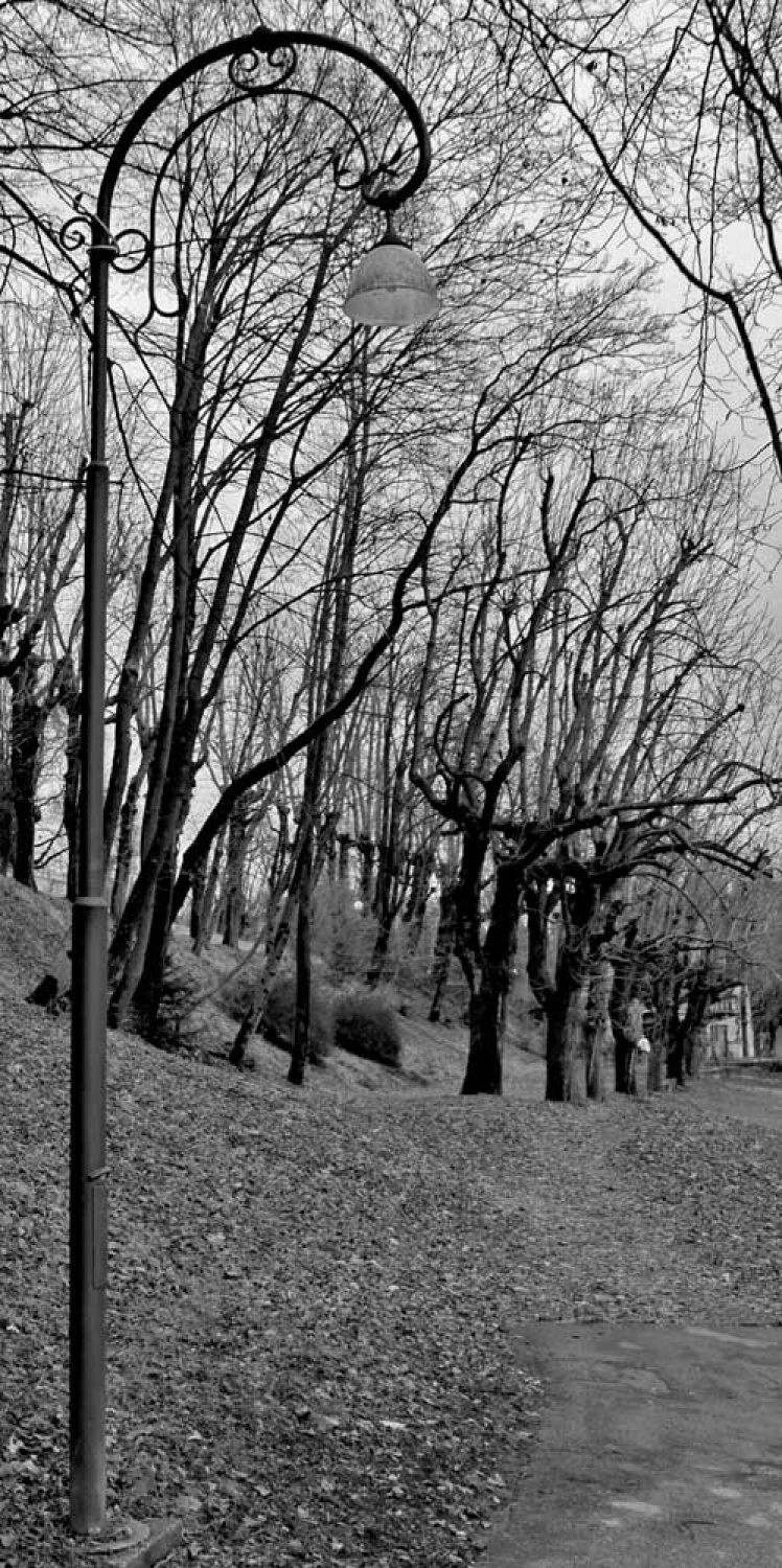 Za osvežitev spomina: V začetku  decembra smo se na Bledu zbrali znanja željni skavti iz vse Slovenije. Na dvodnevnem seminarju smo spoznavali osnove pisanja za internetni medij. Hkrati pa smo se s pomočjo Tamina Petelinška, ki se že vrsto let ukvarja s fotografijo, tudi  izpopolnjevali na tem področju. 


(tukaj sem prilepila tudi članek, ker mi iz neznanega razloga ne odpre spodnjega okna za vsebino novice)
Čeprav se je seminar zaključil, pa smo vsi nestrpno pričakovali Taminove komentarje na naše foto zgodbe. Kot nam je bilo obljubljeno, smo jih prejeli na e-mail naslove. V komentarju nam je Tamino podal svoje mnenje in nasvete kako svoje znanje še nadgraditi. Nekaterim je pokazal  nov pogled na njihovo zgodbo in tako širil naše polje znanja. Drugim je fotografije malo priredil, mogoče kje povečal kontraste ali pa odrezal kakšen odvečni del. Ob koncu pa nas je pozval, da se še kdaj s konkretnim vprašanjem obrnemo nanj, saj z vsako novo informacijo širimo obzorja.

Tako se jaz ob začetku leta obračam na vas: Sprašujte, poslušajte in si zapomnite, saj s tem gradite svojo zakladnico znanja. Vse dobro v novem letu!

V imenu udeležencev seminarja  in ekipe Skavt.NET-a se zahvaljujem obema gostoma seminarja. Tako Tonetu, kot Taminu, ki sta bila pripravljena z nami deliti svoj čas, znanje in predvsem izkušnje.

V spodnji galeriji, pa si lahko ogledate končne izdelke naše foto zgodbe.