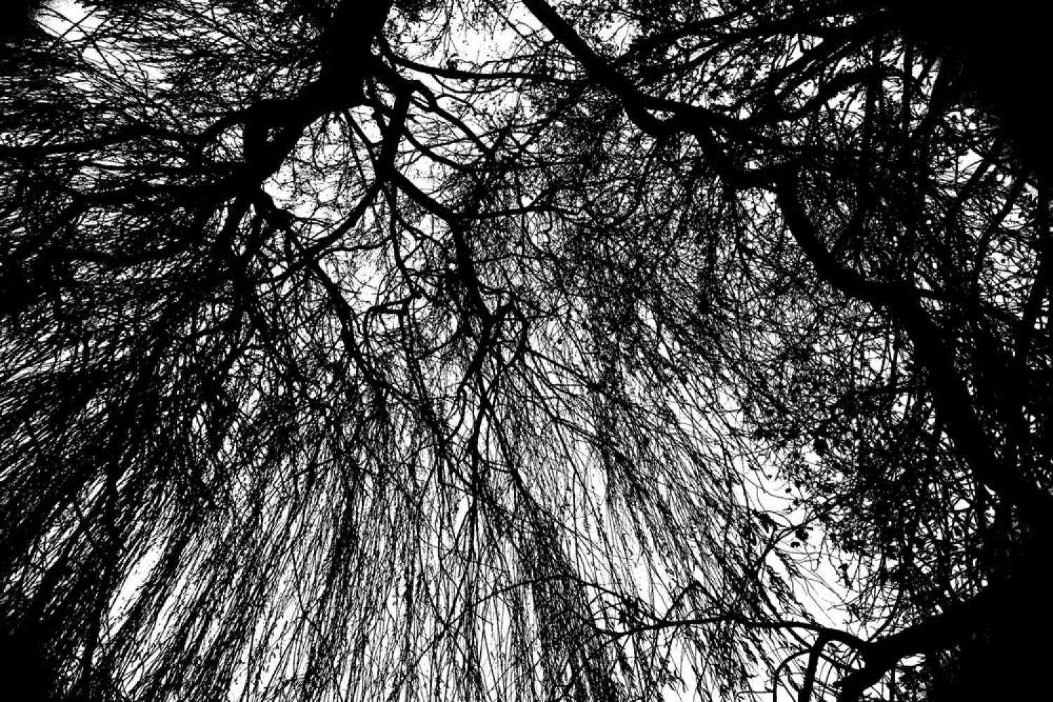 Za osvežitev spomina: V začetku  decembra smo se na Bledu zbrali znanja željni skavti iz vse Slovenije. Na dvodnevnem seminarju smo spoznavali osnove pisanja za internetni medij. Hkrati pa smo se s pomočjo Tamina Petelinška, ki se že vrsto let ukvarja s fotografijo, tudi  izpopolnjevali na tem področju. 


(tukaj sem prilepila tudi članek, ker mi iz neznanega razloga ne odpre spodnjega okna za vsebino novice)
Čeprav se je seminar zaključil, pa smo vsi nestrpno pričakovali Taminove komentarje na naše foto zgodbe. Kot nam je bilo obljubljeno, smo jih prejeli na e-mail naslove. V komentarju nam je Tamino podal svoje mnenje in nasvete kako svoje znanje še nadgraditi. Nekaterim je pokazal  nov pogled na njihovo zgodbo in tako širil naše polje znanja. Drugim je fotografije malo priredil, mogoče kje povečal kontraste ali pa odrezal kakšen odvečni del. Ob koncu pa nas je pozval, da se še kdaj s konkretnim vprašanjem obrnemo nanj, saj z vsako novo informacijo širimo obzorja.

Tako se jaz ob začetku leta obračam na vas: Sprašujte, poslušajte in si zapomnite, saj s tem gradite svojo zakladnico znanja. Vse dobro v novem letu!

V imenu udeležencev seminarja  in ekipe Skavt.NET-a se zahvaljujem obema gostoma seminarja. Tako Tonetu, kot Taminu, ki sta bila pripravljena z nami deliti svoj čas, znanje in predvsem izkušnje.

V spodnji galeriji, pa si lahko ogledate končne izdelke naše foto zgodbe.