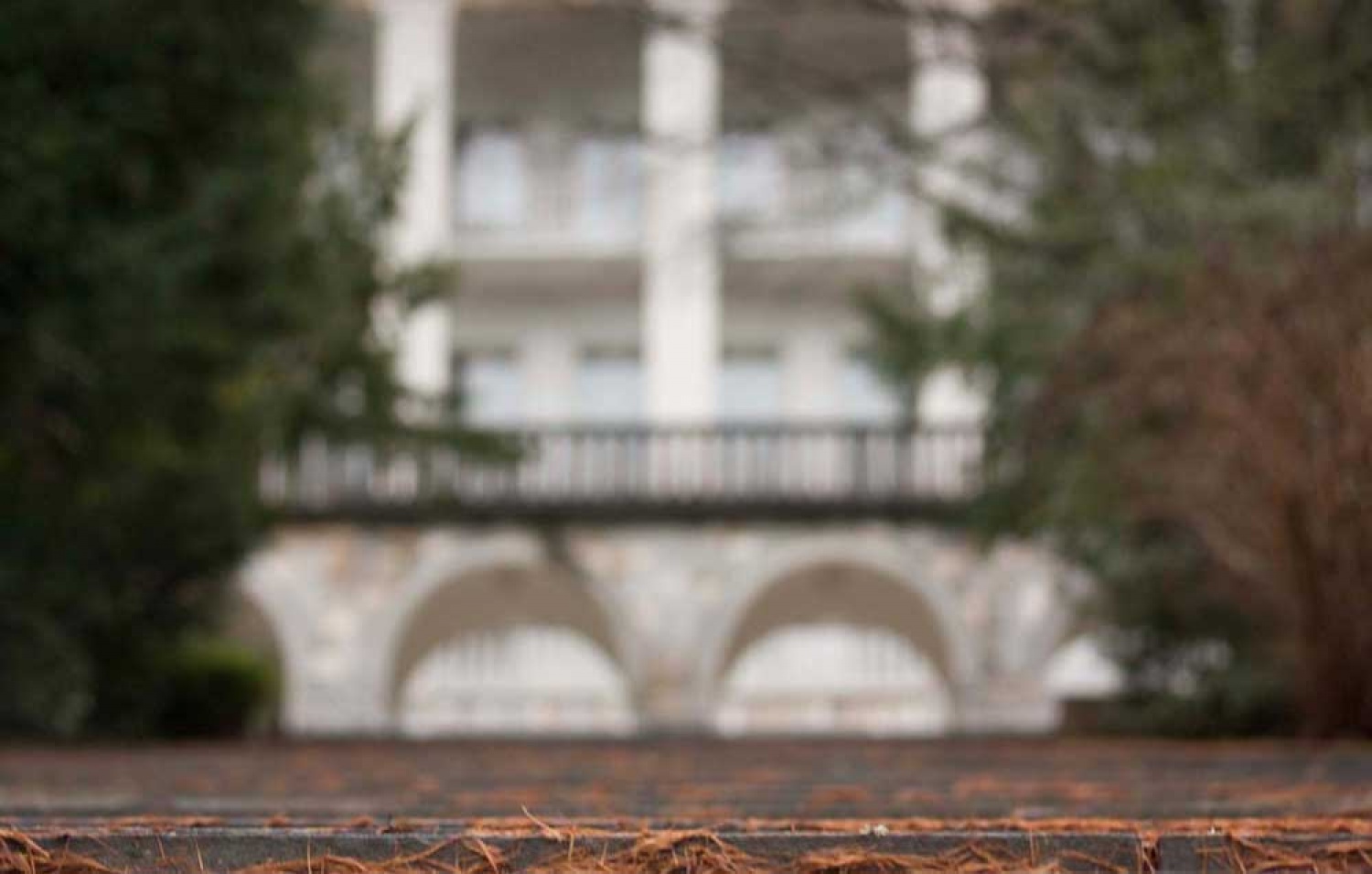 Za osvežitev spomina: V začetku  decembra smo se na Bledu zbrali znanja željni skavti iz vse Slovenije. Na dvodnevnem seminarju smo spoznavali osnove pisanja za internetni medij. Hkrati pa smo se s pomočjo Tamina Petelinška, ki se že vrsto let ukvarja s fotografijo, tudi  izpopolnjevali na tem področju. 


(tukaj sem prilepila tudi članek, ker mi iz neznanega razloga ne odpre spodnjega okna za vsebino novice)
Čeprav se je seminar zaključil, pa smo vsi nestrpno pričakovali Taminove komentarje na naše foto zgodbe. Kot nam je bilo obljubljeno, smo jih prejeli na e-mail naslove. V komentarju nam je Tamino podal svoje mnenje in nasvete kako svoje znanje še nadgraditi. Nekaterim je pokazal  nov pogled na njihovo zgodbo in tako širil naše polje znanja. Drugim je fotografije malo priredil, mogoče kje povečal kontraste ali pa odrezal kakšen odvečni del. Ob koncu pa nas je pozval, da se še kdaj s konkretnim vprašanjem obrnemo nanj, saj z vsako novo informacijo širimo obzorja.

Tako se jaz ob začetku leta obračam na vas: Sprašujte, poslušajte in si zapomnite, saj s tem gradite svojo zakladnico znanja. Vse dobro v novem letu!

V imenu udeležencev seminarja  in ekipe Skavt.NET-a se zahvaljujem obema gostoma seminarja. Tako Tonetu, kot Taminu, ki sta bila pripravljena z nami deliti svoj čas, znanje in predvsem izkušnje.

V spodnji galeriji, pa si lahko ogledate končne izdelke naše foto zgodbe.