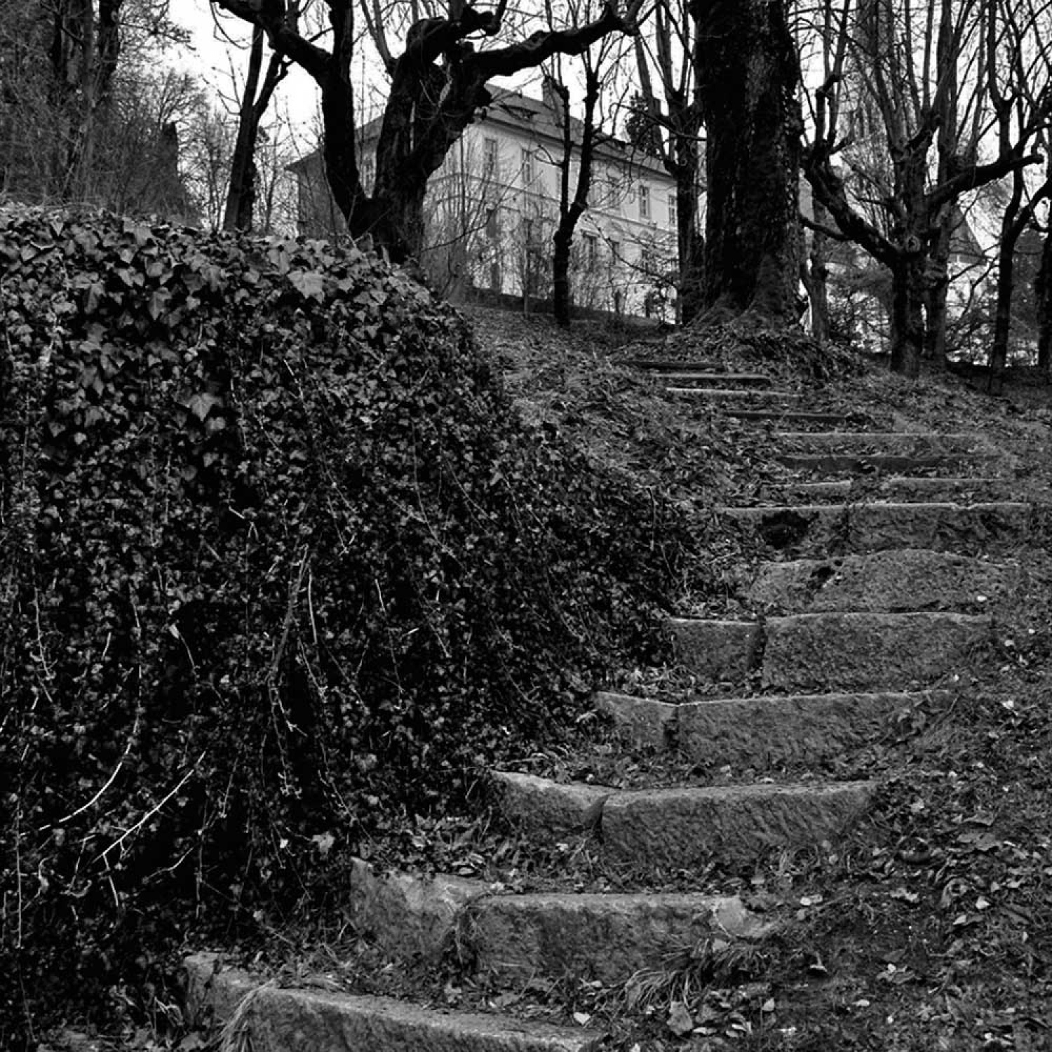 Za osvežitev spomina: V začetku  decembra smo se na Bledu zbrali znanja željni skavti iz vse Slovenije. Na dvodnevnem seminarju smo spoznavali osnove pisanja za internetni medij. Hkrati pa smo se s pomočjo Tamina Petelinška, ki se že vrsto let ukvarja s fotografijo, tudi  izpopolnjevali na tem področju. 


(tukaj sem prilepila tudi članek, ker mi iz neznanega razloga ne odpre spodnjega okna za vsebino novice)
Čeprav se je seminar zaključil, pa smo vsi nestrpno pričakovali Taminove komentarje na naše foto zgodbe. Kot nam je bilo obljubljeno, smo jih prejeli na e-mail naslove. V komentarju nam je Tamino podal svoje mnenje in nasvete kako svoje znanje še nadgraditi. Nekaterim je pokazal  nov pogled na njihovo zgodbo in tako širil naše polje znanja. Drugim je fotografije malo priredil, mogoče kje povečal kontraste ali pa odrezal kakšen odvečni del. Ob koncu pa nas je pozval, da se še kdaj s konkretnim vprašanjem obrnemo nanj, saj z vsako novo informacijo širimo obzorja.

Tako se jaz ob začetku leta obračam na vas: Sprašujte, poslušajte in si zapomnite, saj s tem gradite svojo zakladnico znanja. Vse dobro v novem letu!

V imenu udeležencev seminarja  in ekipe Skavt.NET-a se zahvaljujem obema gostoma seminarja. Tako Tonetu, kot Taminu, ki sta bila pripravljena z nami deliti svoj čas, znanje in predvsem izkušnje.

V spodnji galeriji, pa si lahko ogledate končne izdelke naše foto zgodbe.