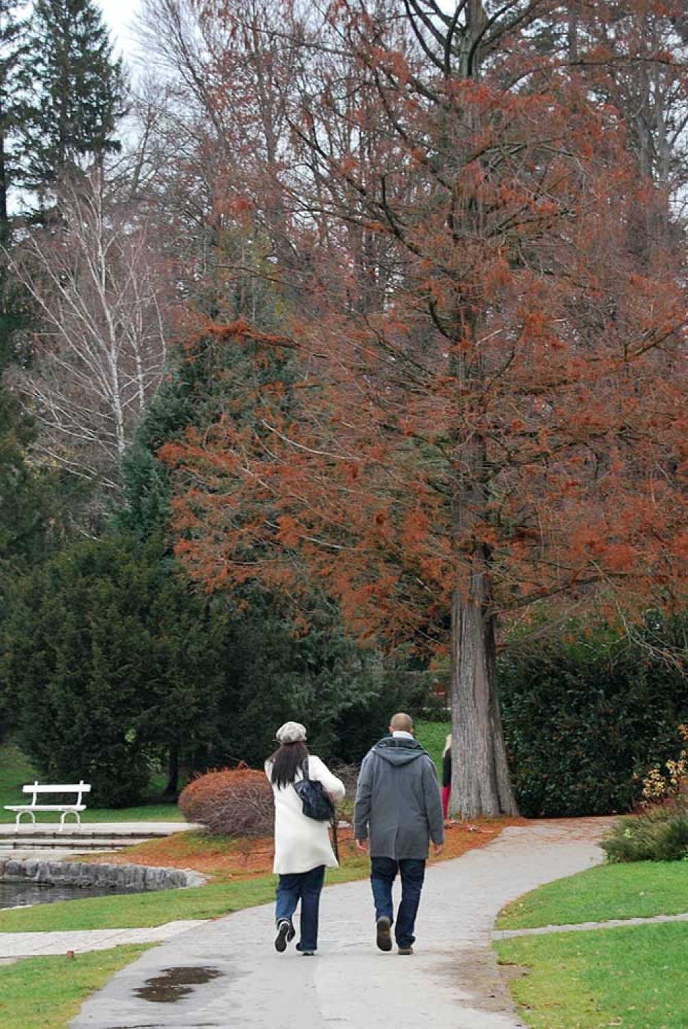 Za osvežitev spomina: V začetku  decembra smo se na Bledu zbrali znanja željni skavti iz vse Slovenije. Na dvodnevnem seminarju smo spoznavali osnove pisanja za internetni medij. Hkrati pa smo se s pomočjo Tamina Petelinška, ki se že vrsto let ukvarja s fotografijo, tudi  izpopolnjevali na tem področju. 


(tukaj sem prilepila tudi članek, ker mi iz neznanega razloga ne odpre spodnjega okna za vsebino novice)
Čeprav se je seminar zaključil, pa smo vsi nestrpno pričakovali Taminove komentarje na naše foto zgodbe. Kot nam je bilo obljubljeno, smo jih prejeli na e-mail naslove. V komentarju nam je Tamino podal svoje mnenje in nasvete kako svoje znanje še nadgraditi. Nekaterim je pokazal  nov pogled na njihovo zgodbo in tako širil naše polje znanja. Drugim je fotografije malo priredil, mogoče kje povečal kontraste ali pa odrezal kakšen odvečni del. Ob koncu pa nas je pozval, da se še kdaj s konkretnim vprašanjem obrnemo nanj, saj z vsako novo informacijo širimo obzorja.

Tako se jaz ob začetku leta obračam na vas: Sprašujte, poslušajte in si zapomnite, saj s tem gradite svojo zakladnico znanja. Vse dobro v novem letu!

V imenu udeležencev seminarja  in ekipe Skavt.NET-a se zahvaljujem obema gostoma seminarja. Tako Tonetu, kot Taminu, ki sta bila pripravljena z nami deliti svoj čas, znanje in predvsem izkušnje.

V spodnji galeriji, pa si lahko ogledate končne izdelke naše foto zgodbe.