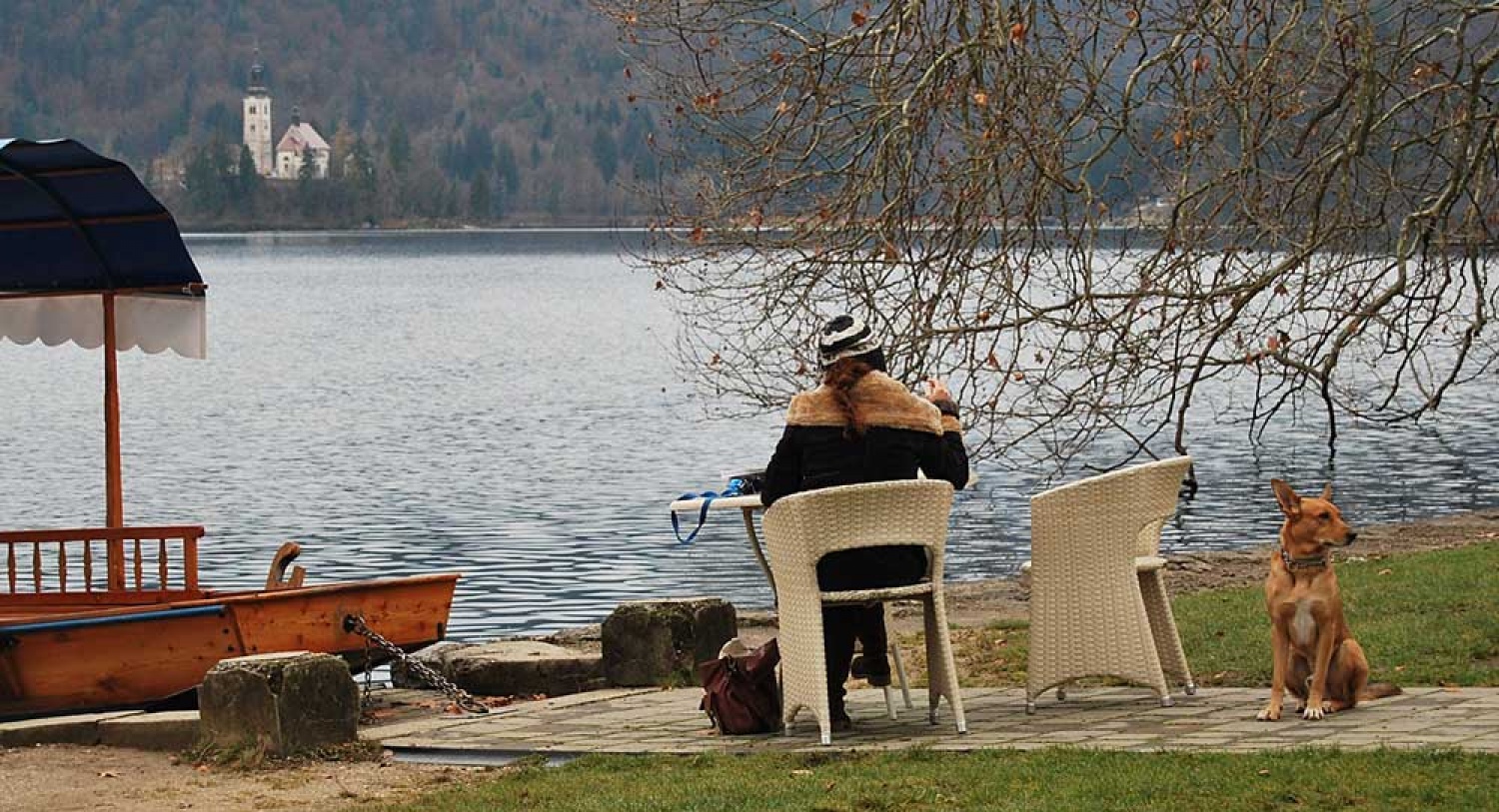 Za osvežitev spomina: V začetku  decembra smo se na Bledu zbrali znanja željni skavti iz vse Slovenije. Na dvodnevnem seminarju smo spoznavali osnove pisanja za internetni medij. Hkrati pa smo se s pomočjo Tamina Petelinška, ki se že vrsto let ukvarja s fotografijo, tudi  izpopolnjevali na tem področju. 


(tukaj sem prilepila tudi članek, ker mi iz neznanega razloga ne odpre spodnjega okna za vsebino novice)
Čeprav se je seminar zaključil, pa smo vsi nestrpno pričakovali Taminove komentarje na naše foto zgodbe. Kot nam je bilo obljubljeno, smo jih prejeli na e-mail naslove. V komentarju nam je Tamino podal svoje mnenje in nasvete kako svoje znanje še nadgraditi. Nekaterim je pokazal  nov pogled na njihovo zgodbo in tako širil naše polje znanja. Drugim je fotografije malo priredil, mogoče kje povečal kontraste ali pa odrezal kakšen odvečni del. Ob koncu pa nas je pozval, da se še kdaj s konkretnim vprašanjem obrnemo nanj, saj z vsako novo informacijo širimo obzorja.

Tako se jaz ob začetku leta obračam na vas: Sprašujte, poslušajte in si zapomnite, saj s tem gradite svojo zakladnico znanja. Vse dobro v novem letu!

V imenu udeležencev seminarja  in ekipe Skavt.NET-a se zahvaljujem obema gostoma seminarja. Tako Tonetu, kot Taminu, ki sta bila pripravljena z nami deliti svoj čas, znanje in predvsem izkušnje.

V spodnji galeriji, pa si lahko ogledate končne izdelke naše foto zgodbe.