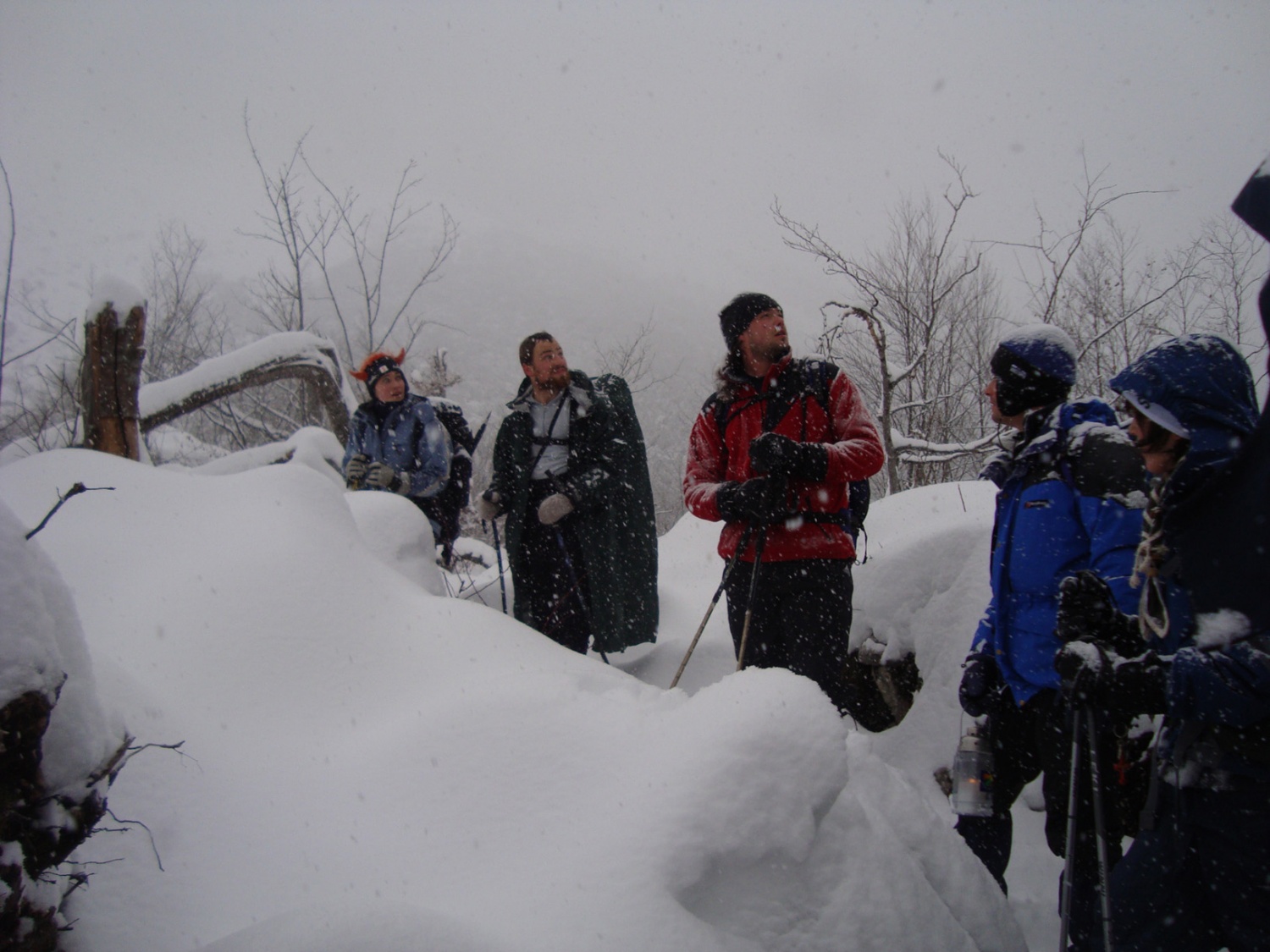 Krajša debata o plazovih