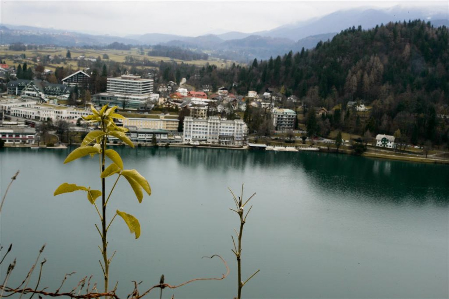 Hotelski Bled
