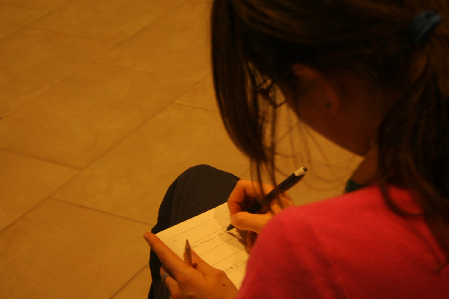 Na Bledu se dogaja, saj je v polnem teku SkavtNETov seminar spletnega novinarstva. Mladi iz celotne Slovenije smo se zbrali, da se naučimo česa novega. Kaj točno delamo pa si lahko preberete in ogledate v nadaljevanju.