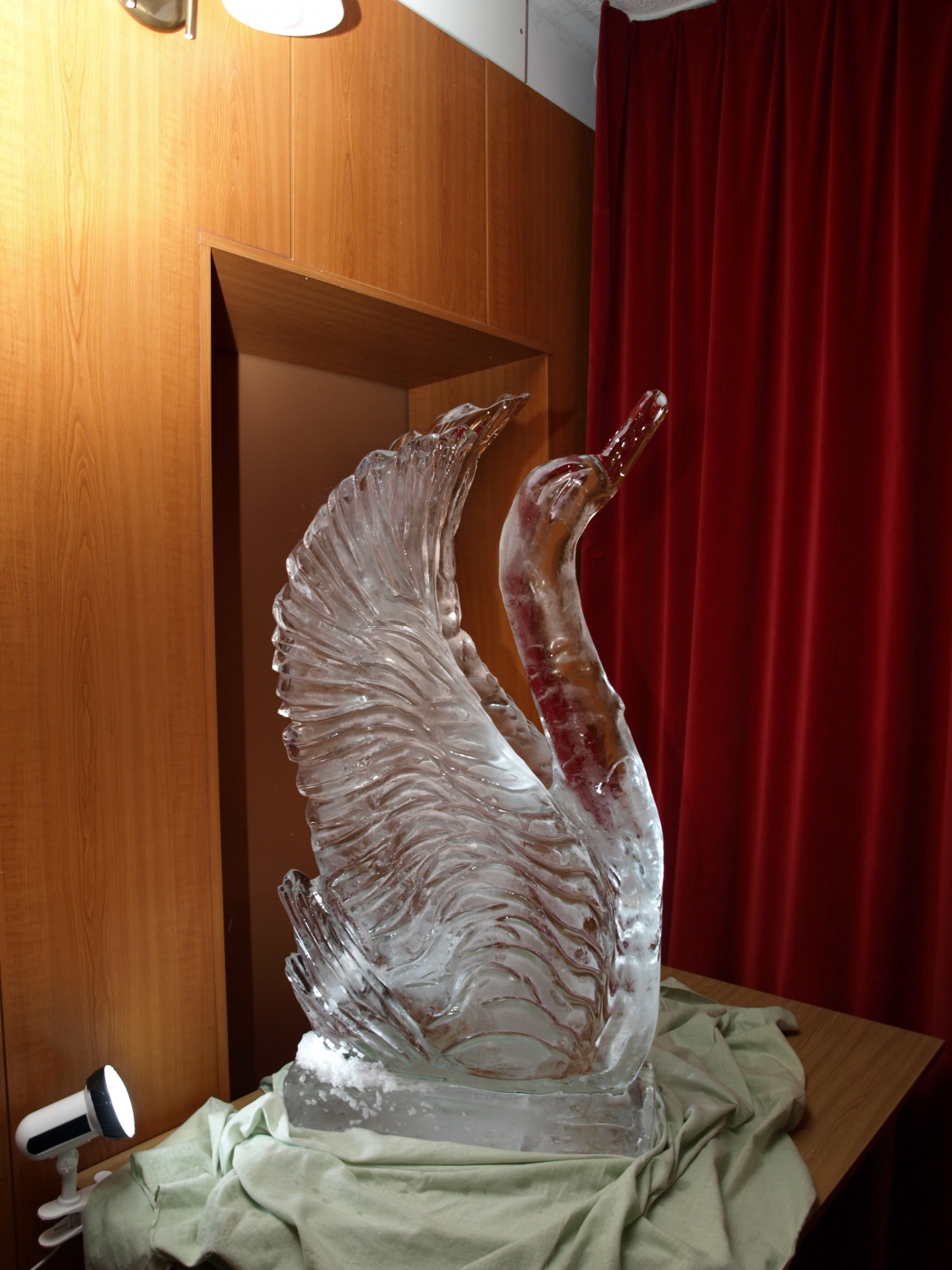 Zlata ŽAba 2008