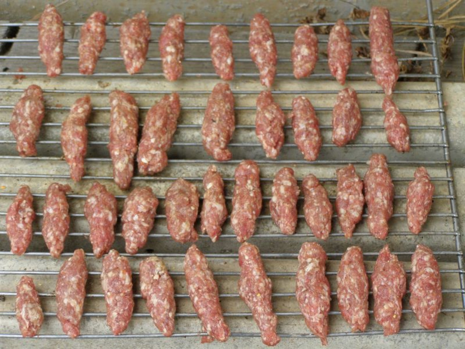 Kako so bili Gamsi iz Kamnika in Polhi iz Vrhnike na potepu v Novem Mestu