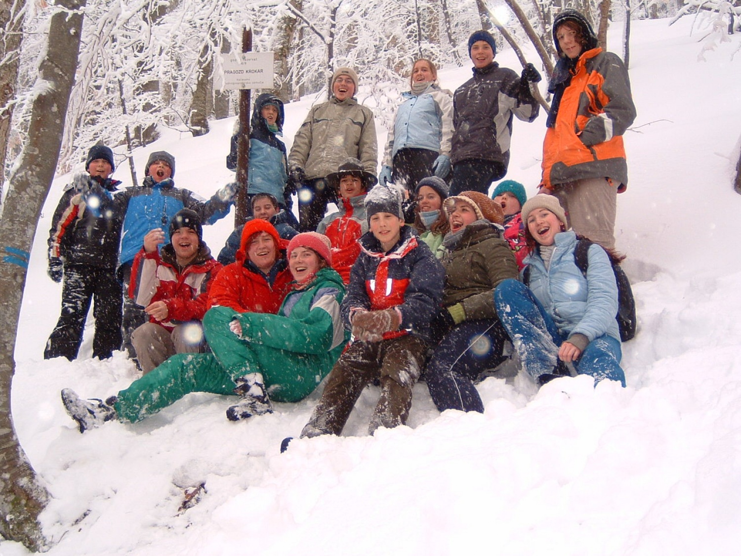 veselja ne bo manjkalo