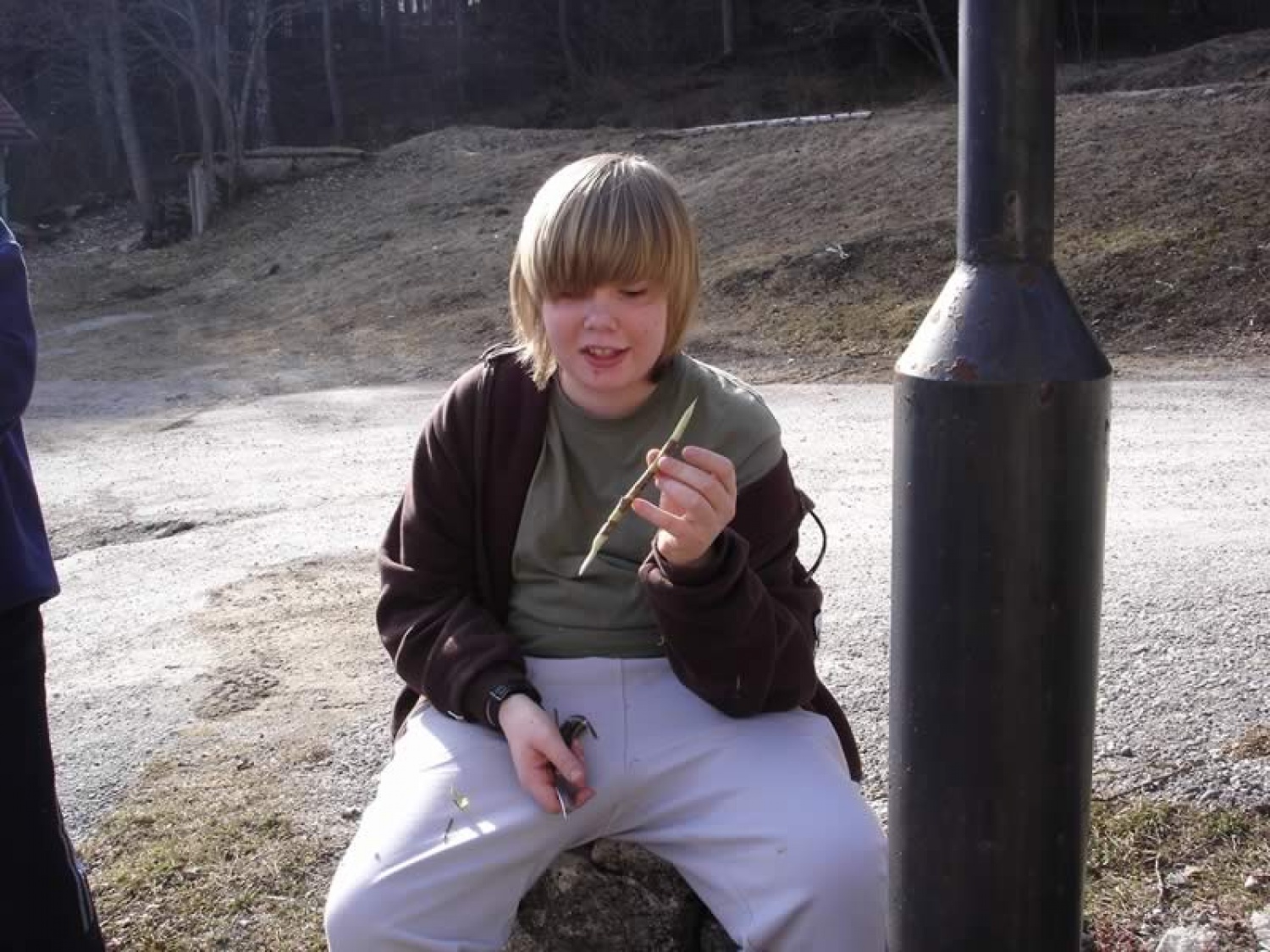 Mladi inovator. To bo slonji zobotrebec,