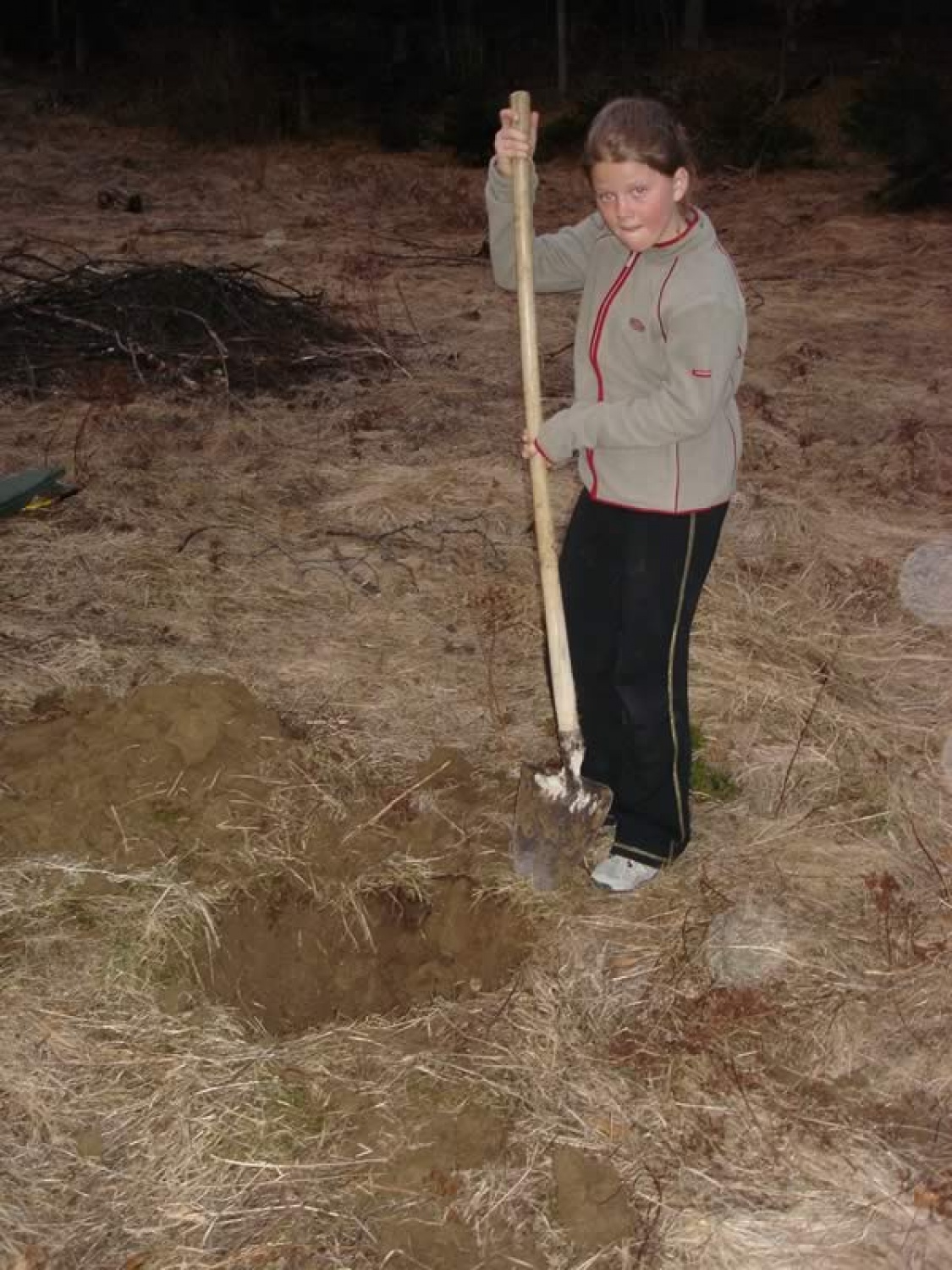 Kdor drugemu jamo koplje ... (je grobar)