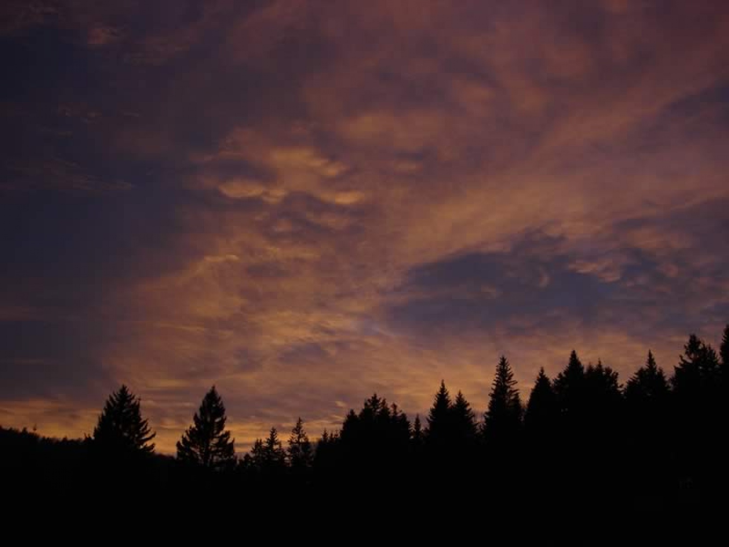Nekaj za ozadje namizja.