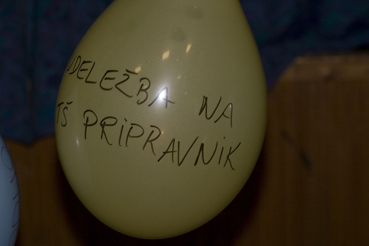 <b>Izobraževanje bo potekalo dve sredi, 4.11. in 11. 11. 2009, med 17. in 20. uro v prostorih Združenja.</b> 

Namenjeno je:
- dosedanjim mentorjem
- bodočim mentorjem
- tistim, ki jih mentorstvo zanima
- stegovodjem