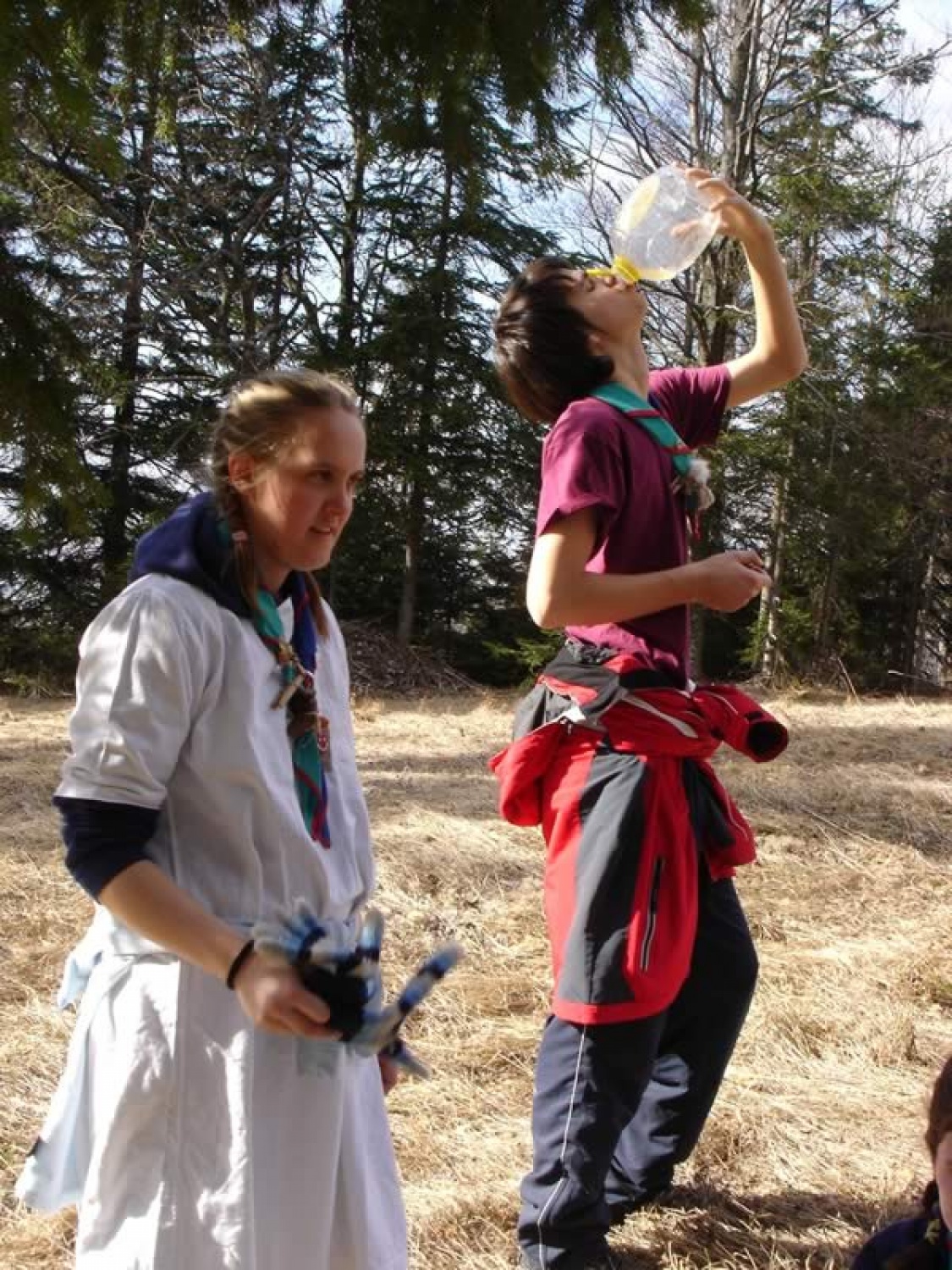 Kaj pa ostali, Nik?!