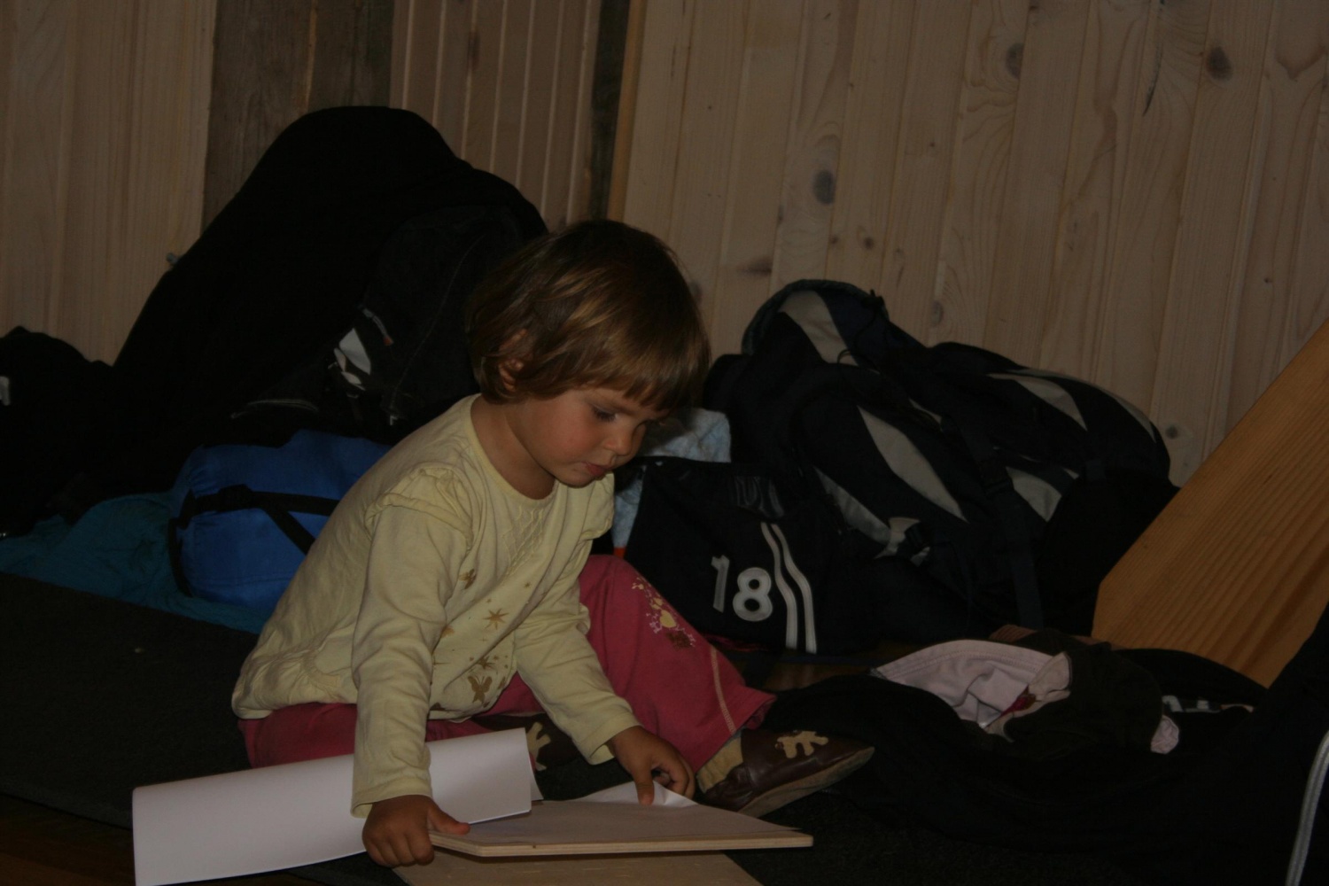 mala Špela se je že navadila, da na SkavtNET sestankih mora biti pridna