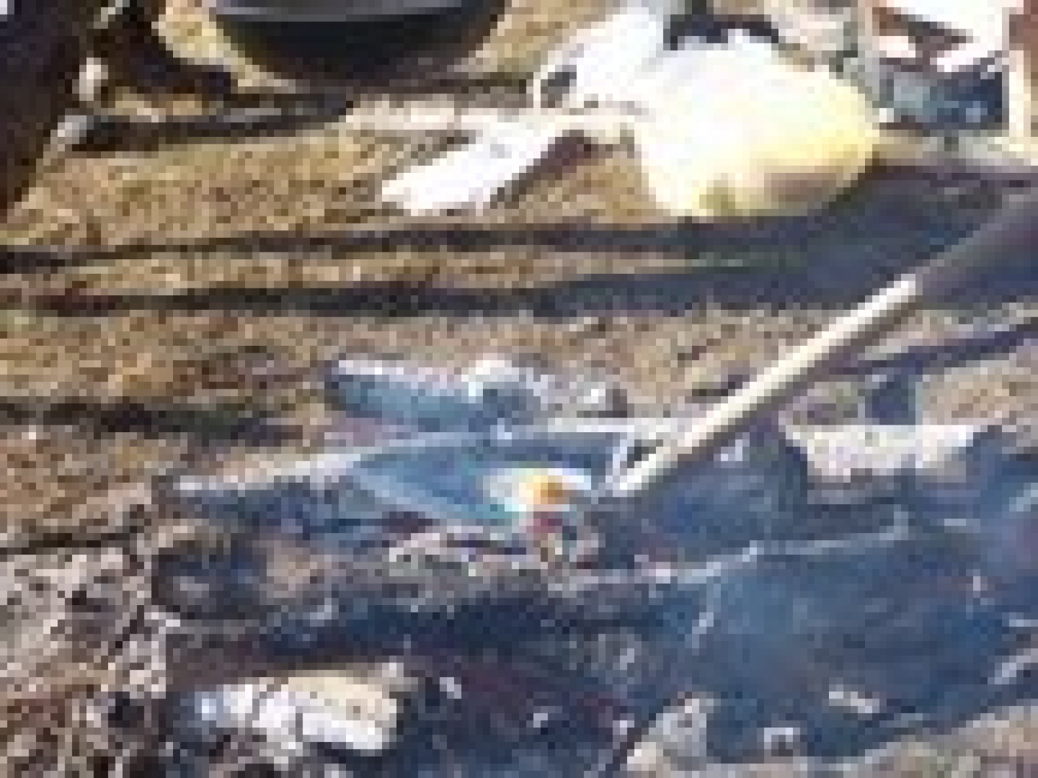 Slike iz "ultra hard" zimovanja.