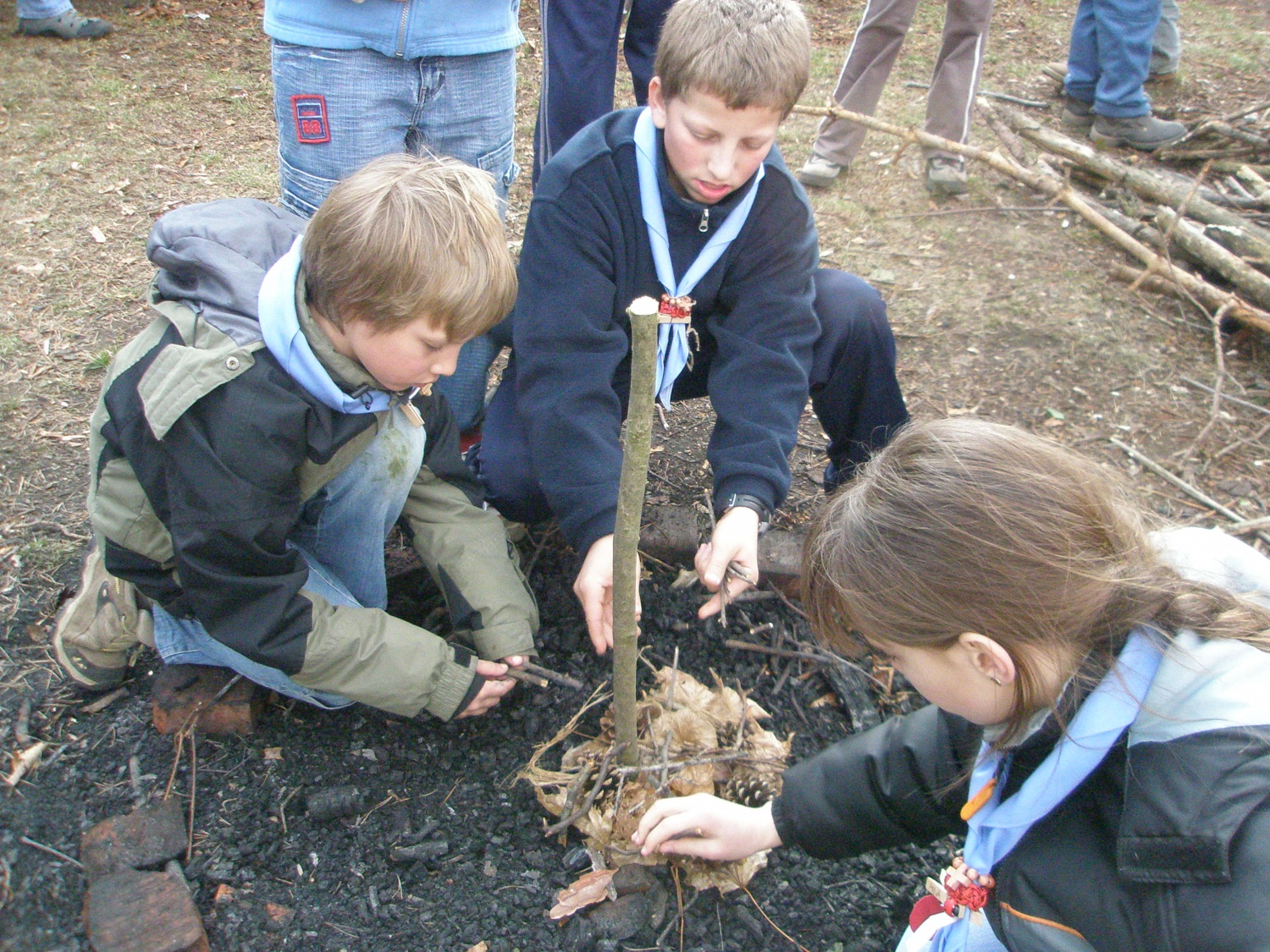 Zimovanje krdela Mozirje 1.
