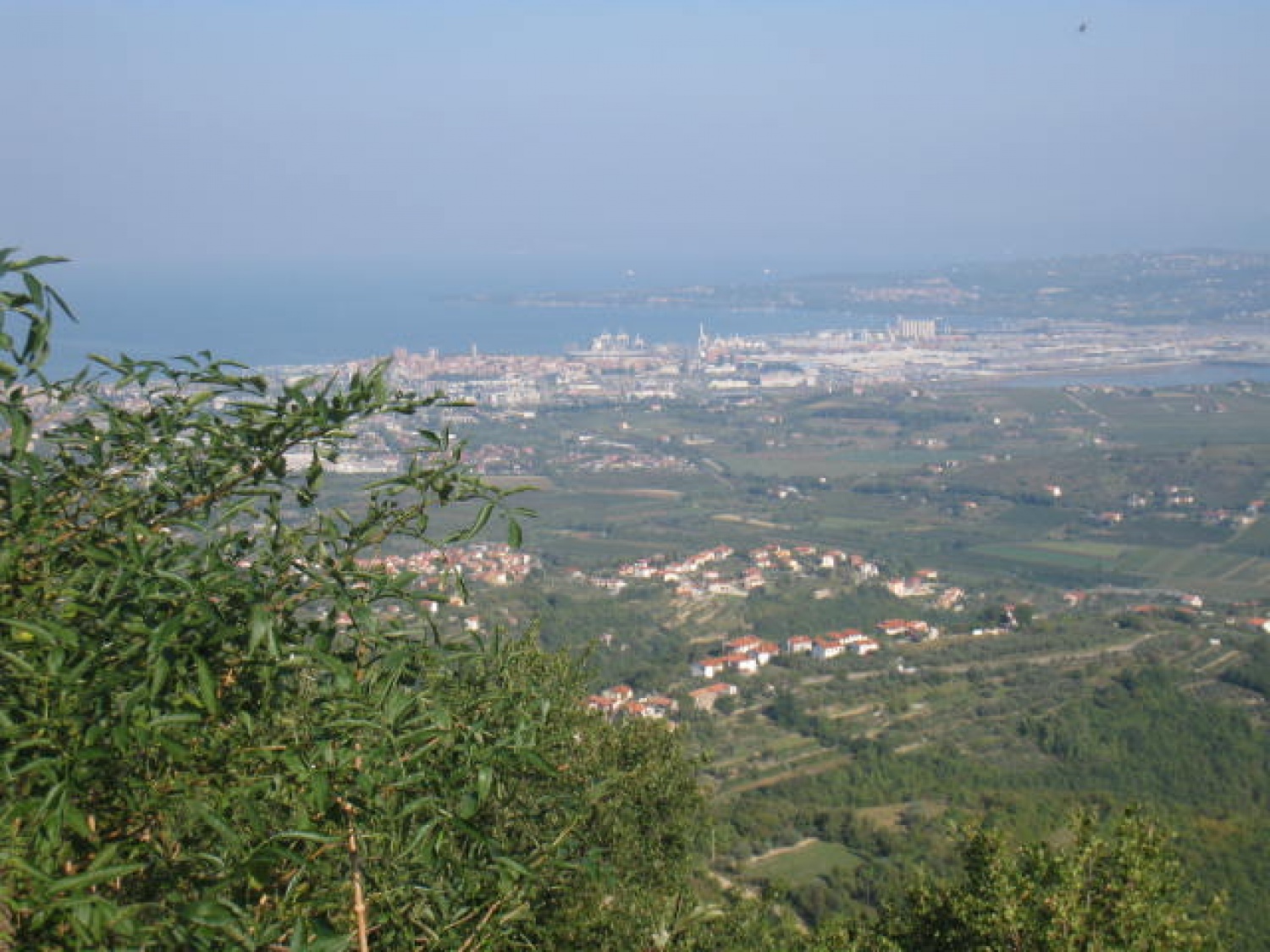 motiv privlačnosti- Koper