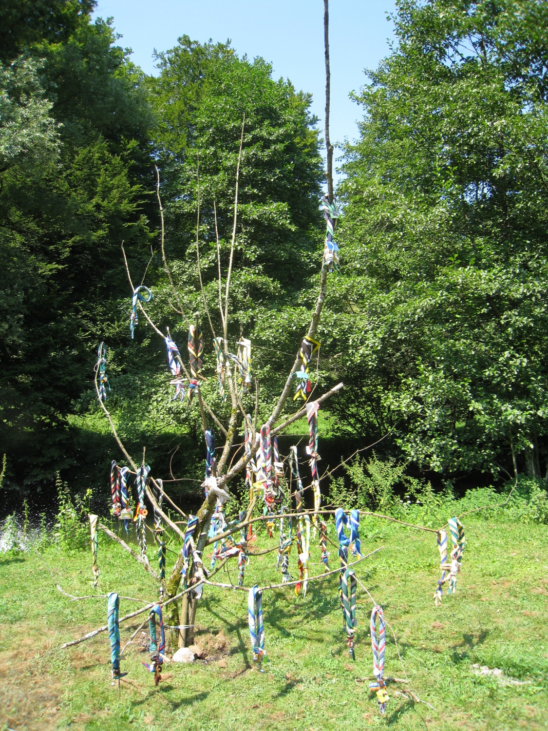 Waauuu-  kaj je zraslo iz sadik