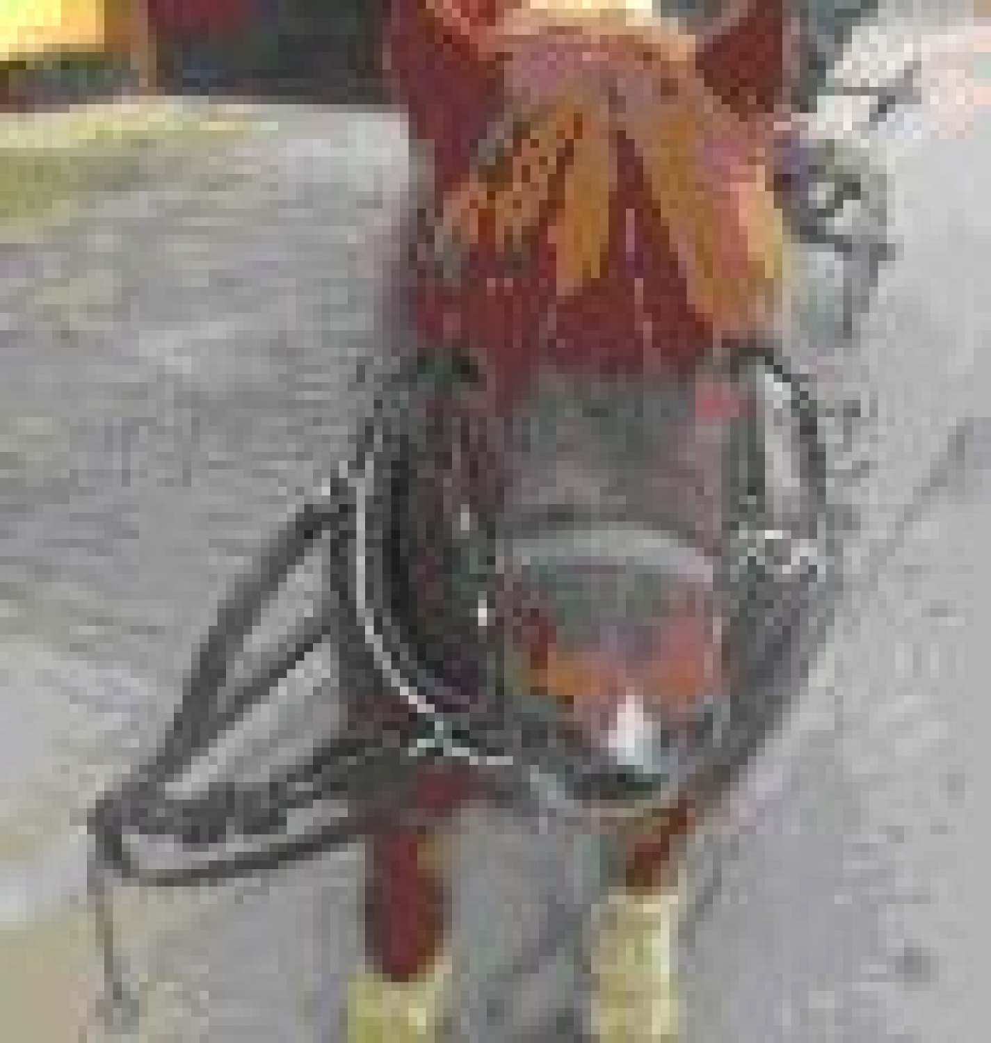 kako smo zbirali papir