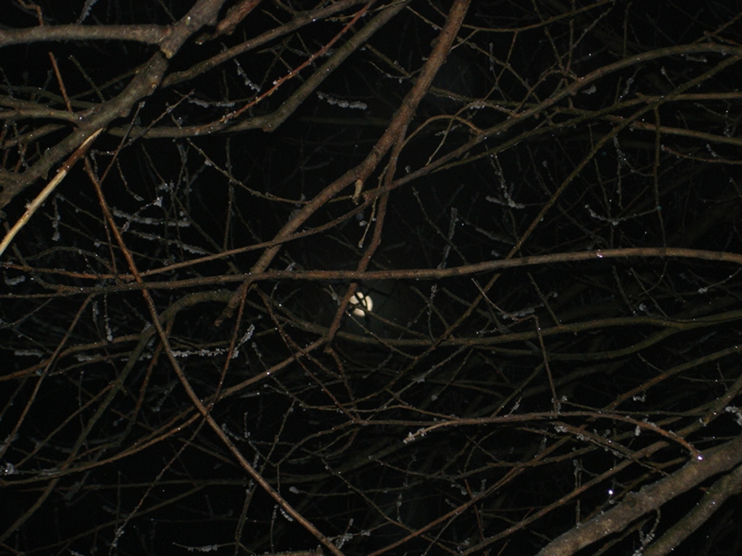 (Skoraj) polna luna...