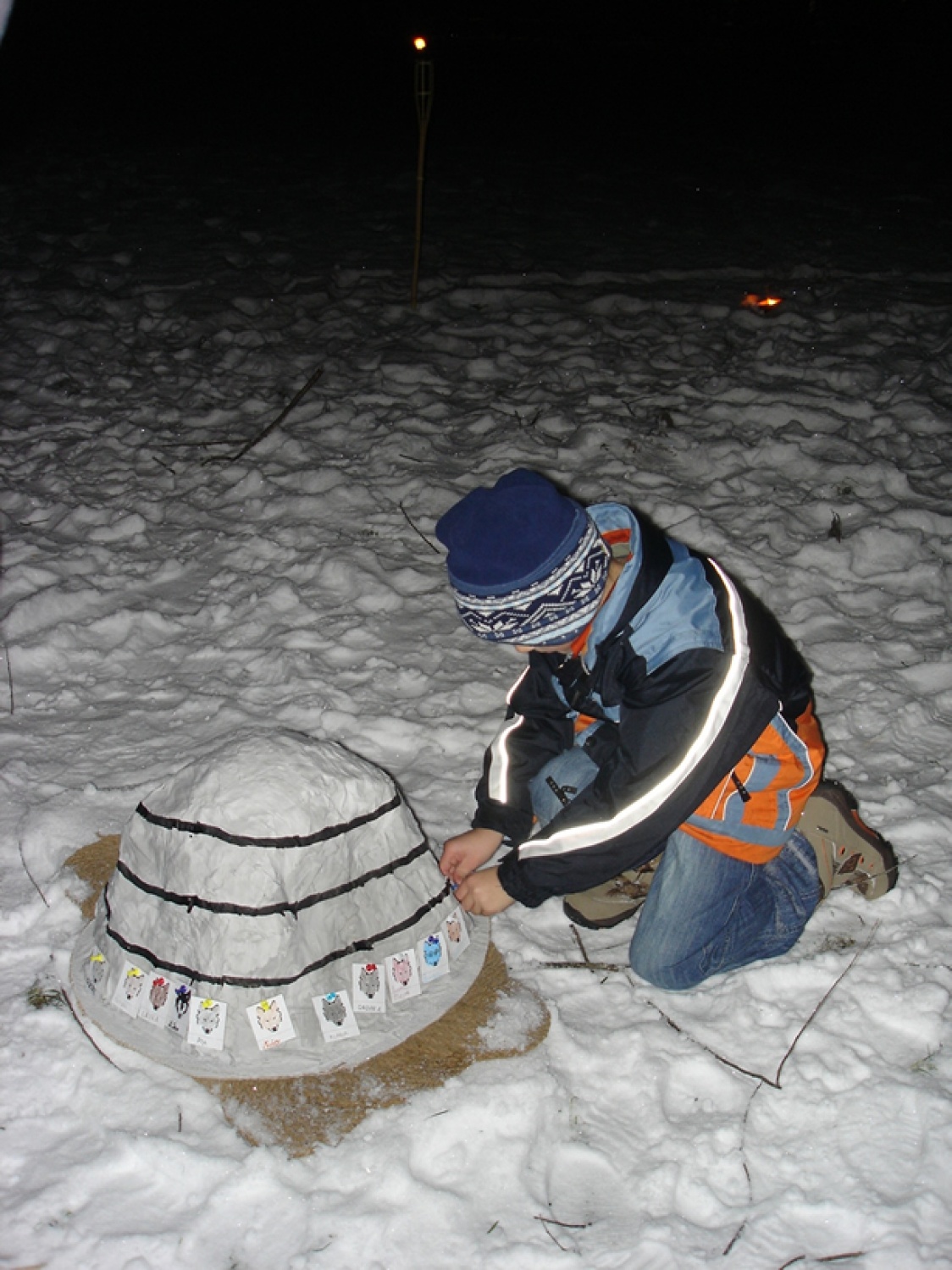 Še moja volčja izkaznica na skalo...