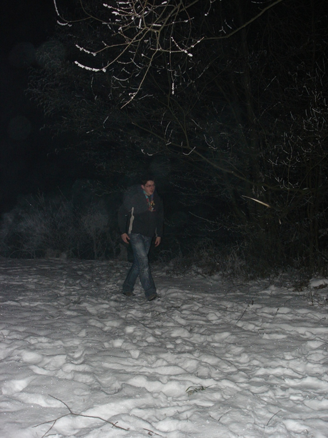 Bagira je ponudil svojega bika za mladiče