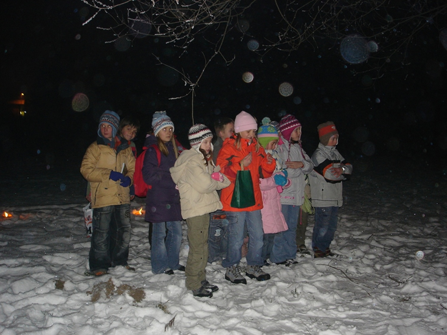Pripravljeni, da stopijo pred krdelo