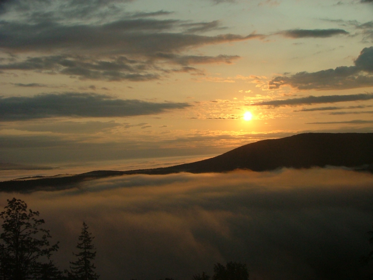 A njegove posledice bodo vidne še daleč v prihodnosti.

Od 3 do 10.7 je v objemu Kočevskih gozdov potekal prvi delovni tabor s katerim smo želeli skavtom približati skavtski dom in seveda hkrati tudi pospešiti obnovo.
