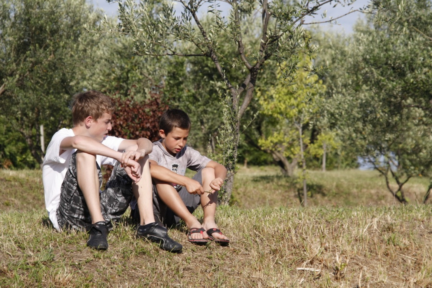 "No, pa dejva eno rečt!"