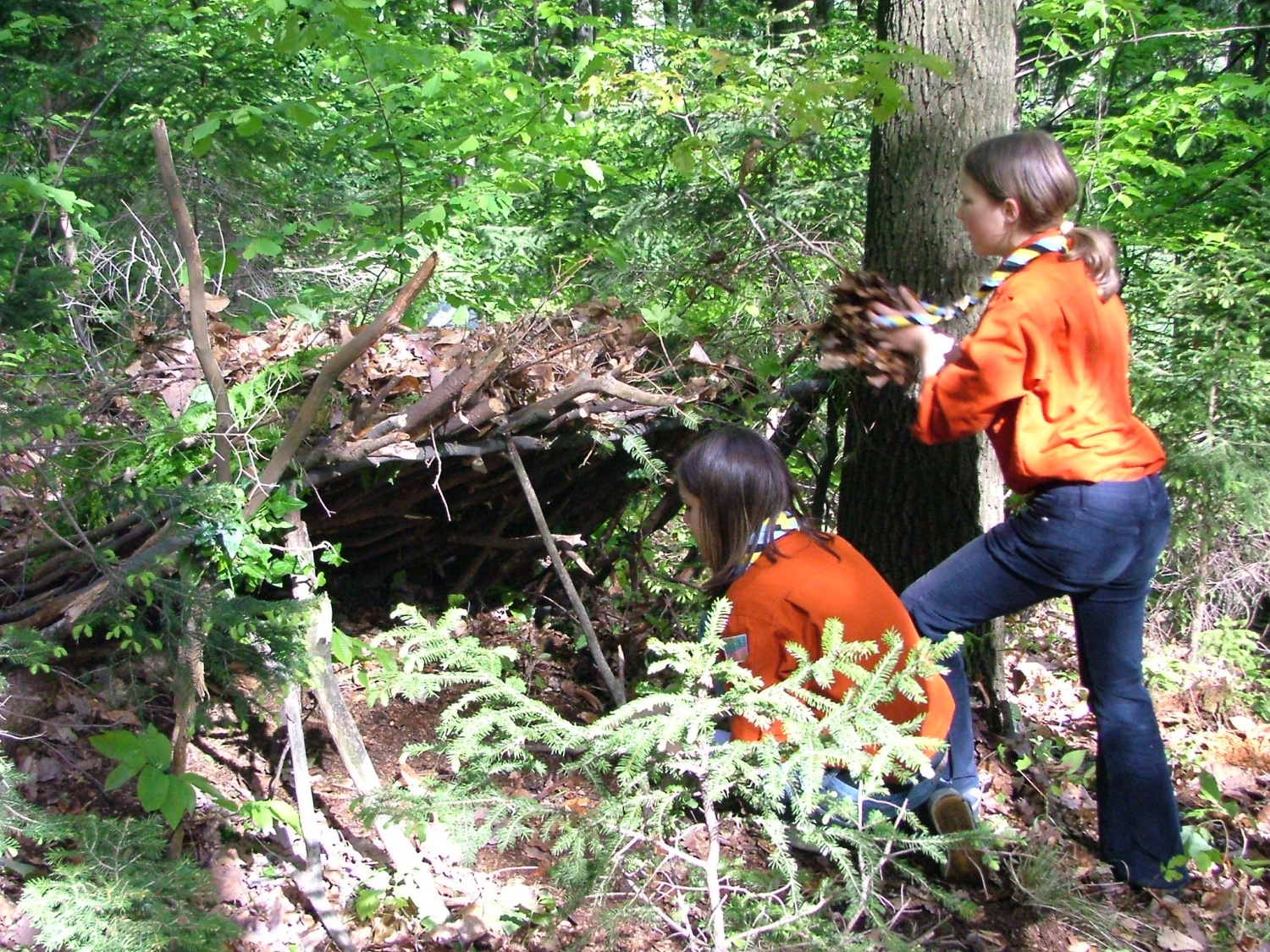 Bivak iz naravnih materialov