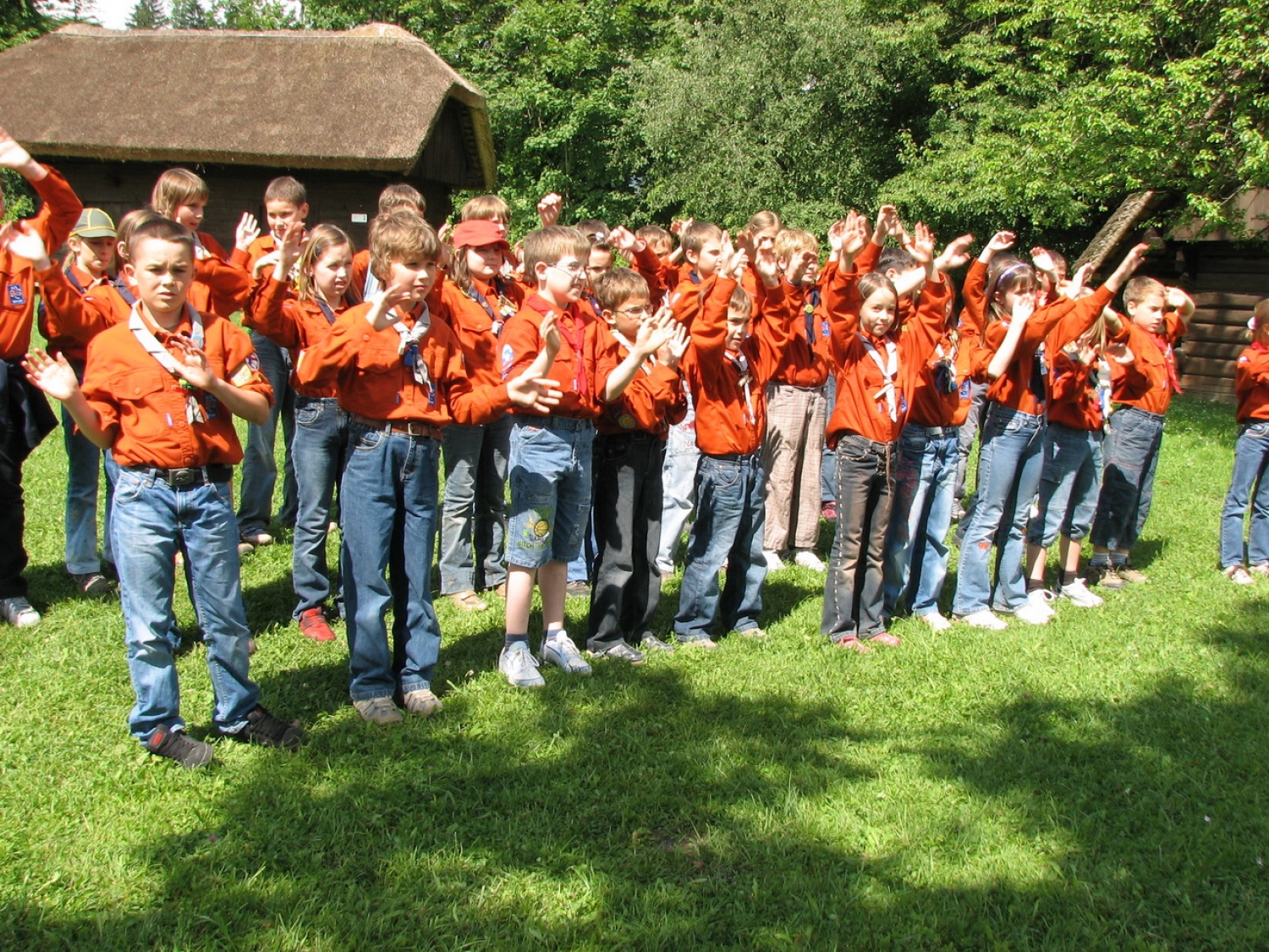 Pobratena krdela v akciji