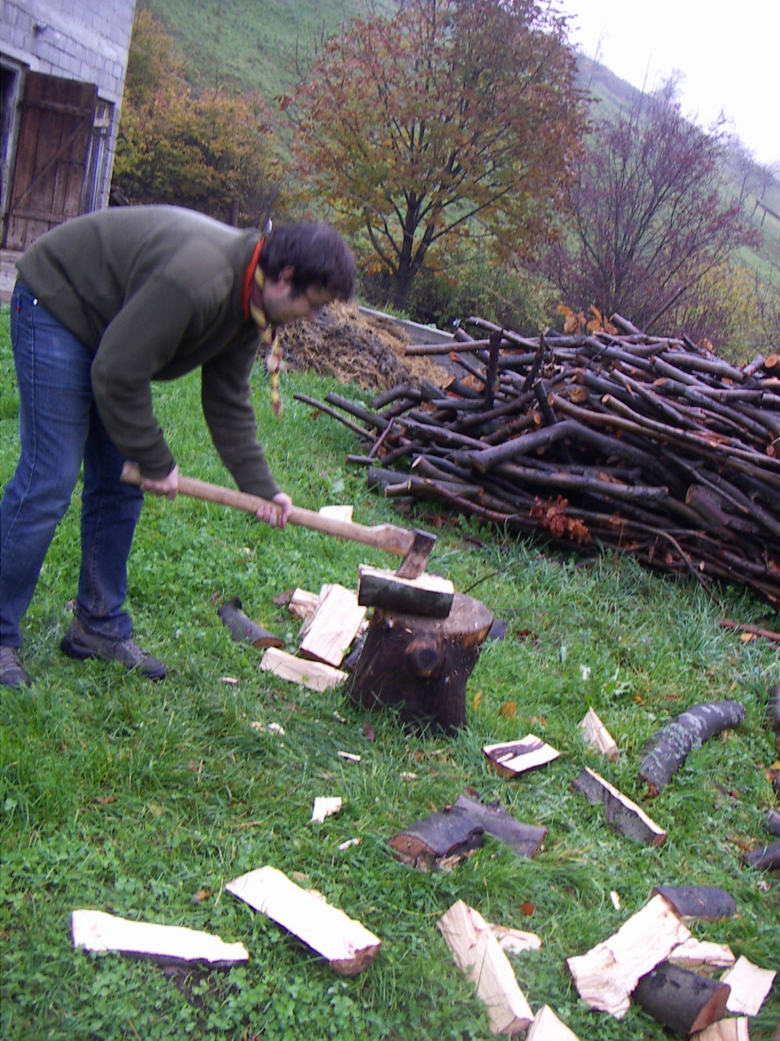 Slike z nočne pustolovščine ptujskega klana