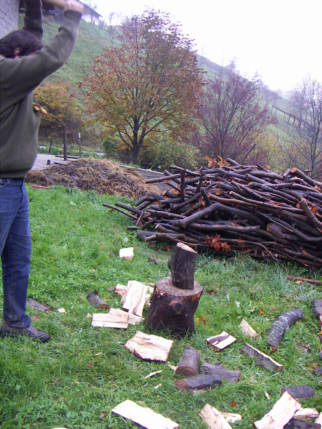 Slike z nočne pustolovščine ptujskega klana