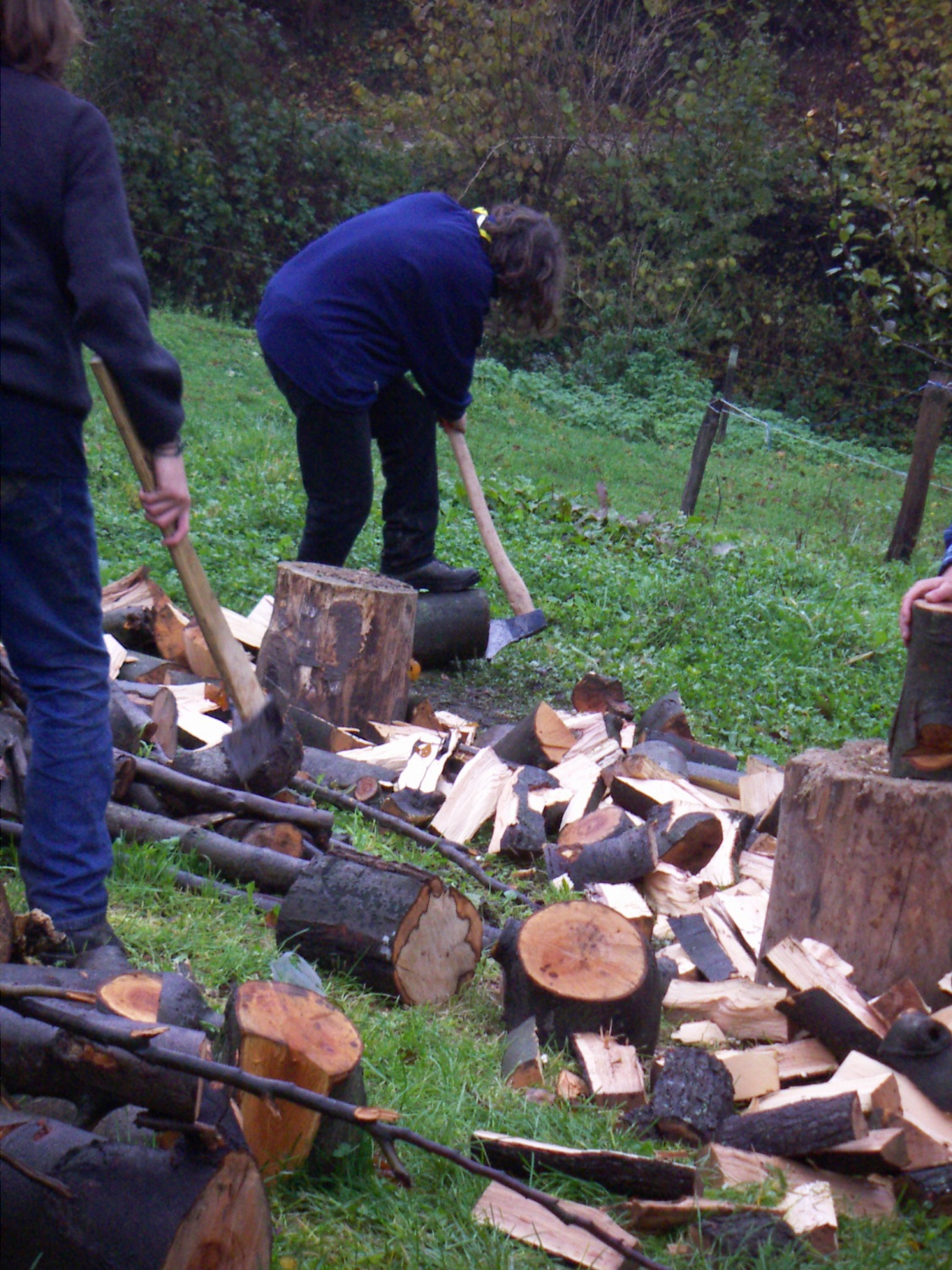 Slike z nočne pustolovščine ptujskega klana