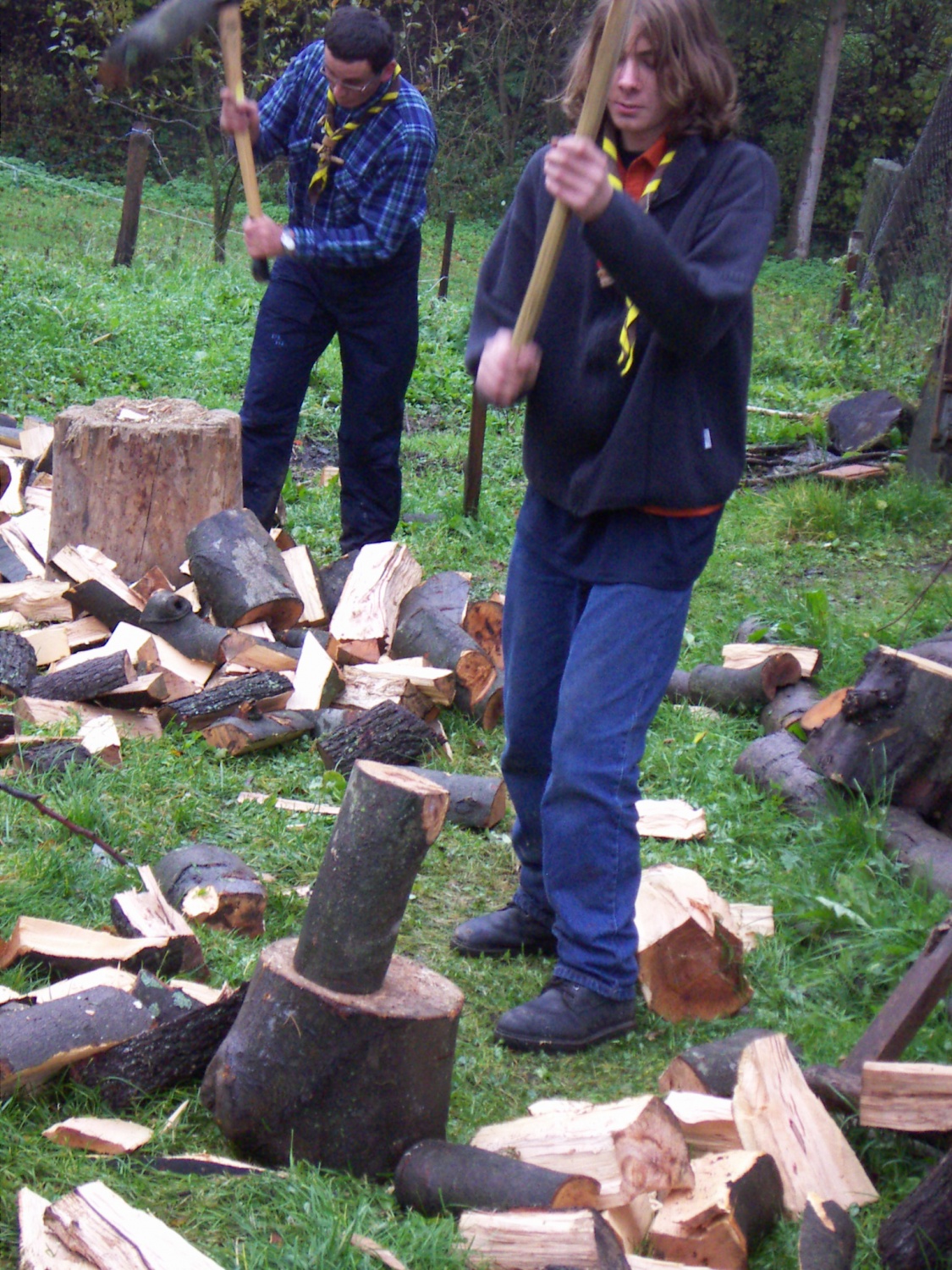 Slike z nočne pustolovščine ptujskega klana