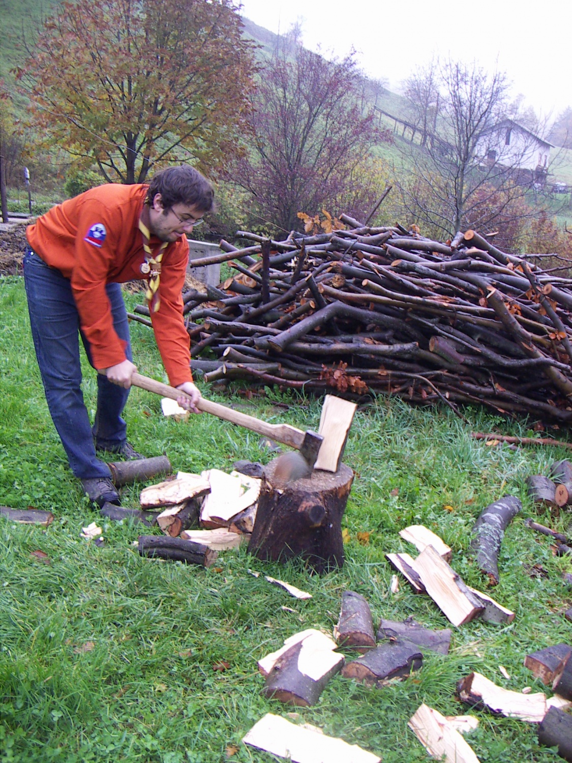 Slike z nočne pustolovščine ptujskega klana