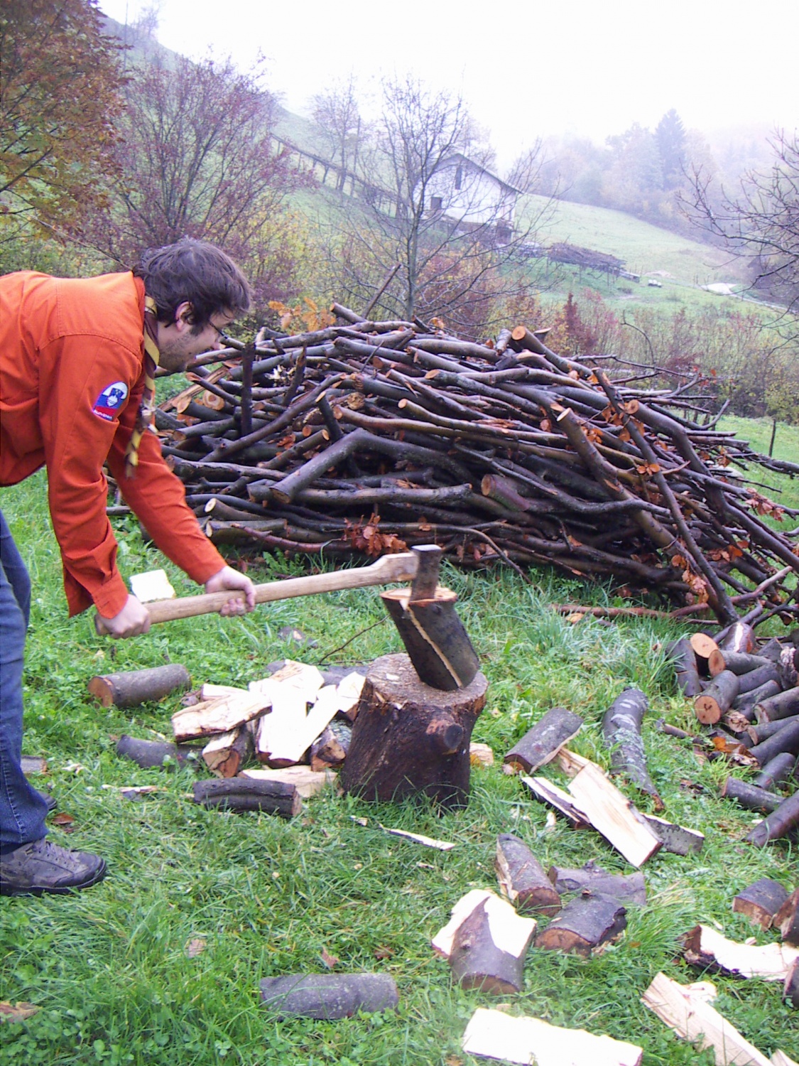 Slike z nočne pustolovščine ptujskega klana