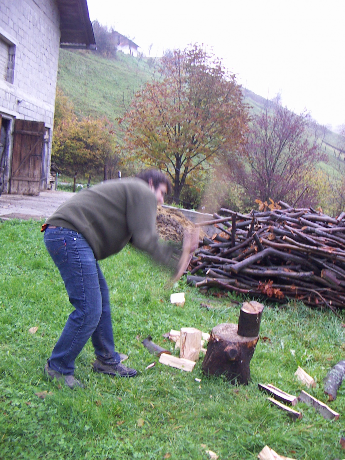 Slike z nočne pustolovščine ptujskega klana