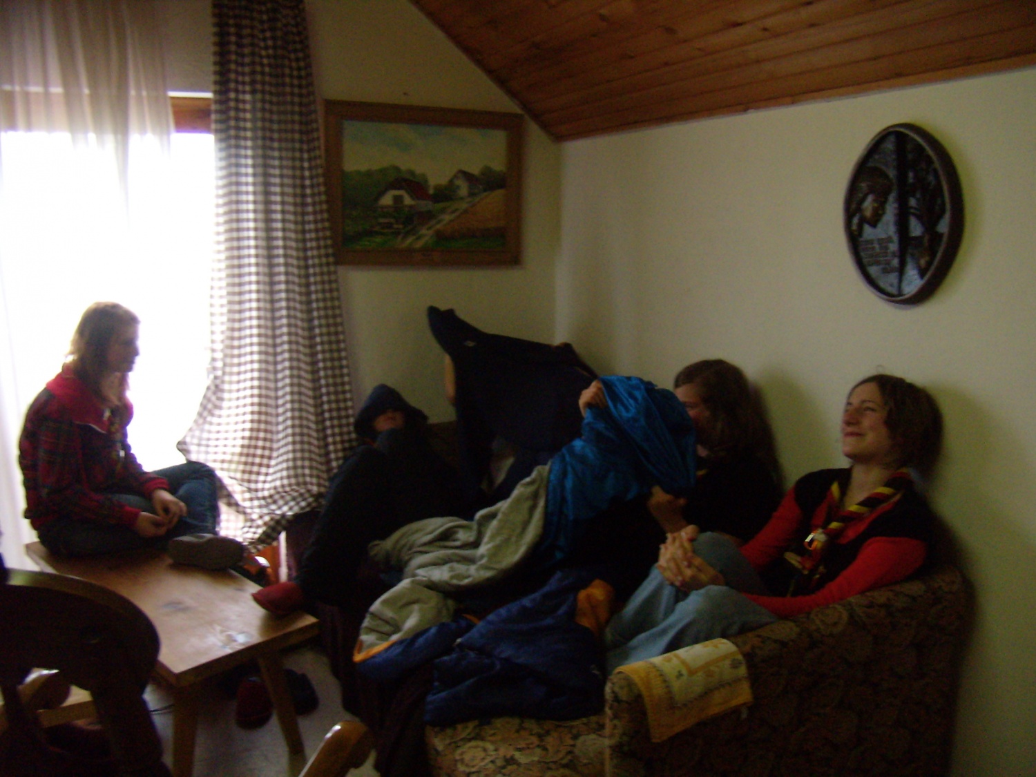 lisice zmatrane od voditeljev