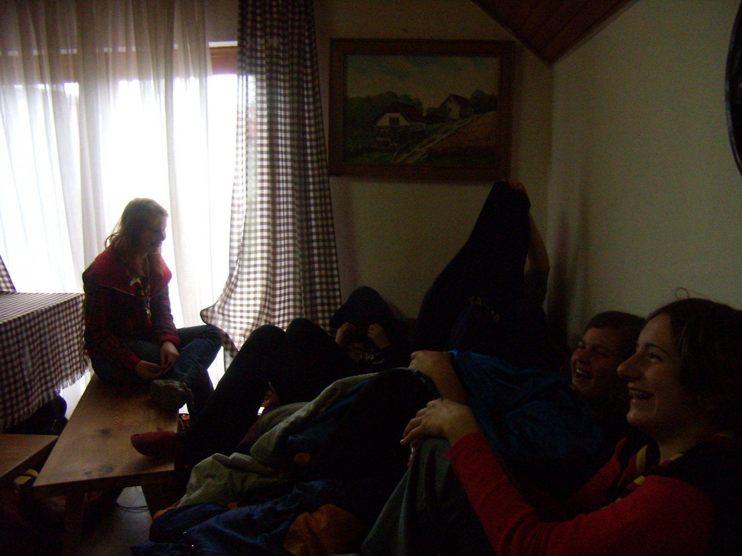 lisice zmatrane od voditeljev