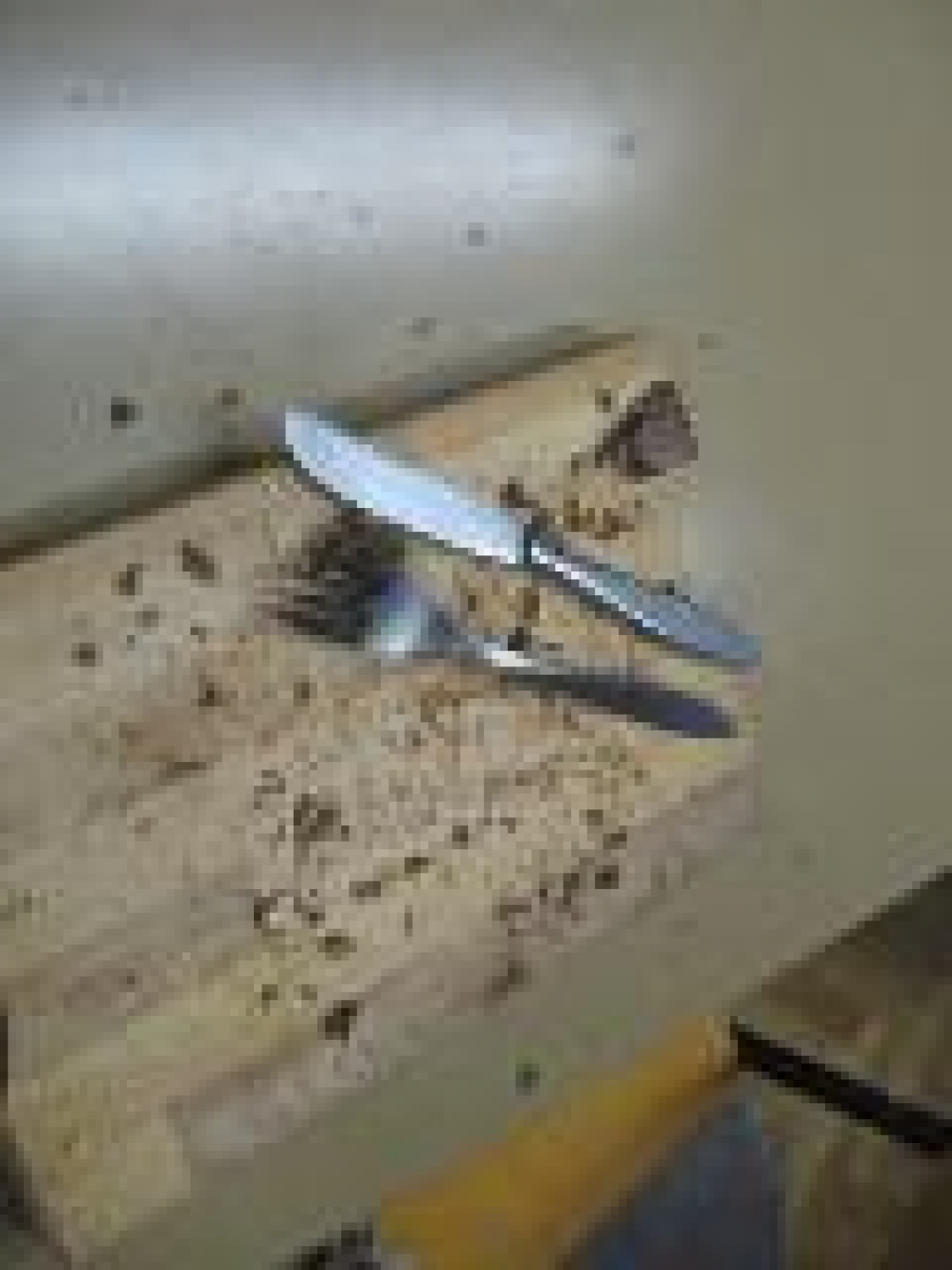 zlo dober priporočam ogled