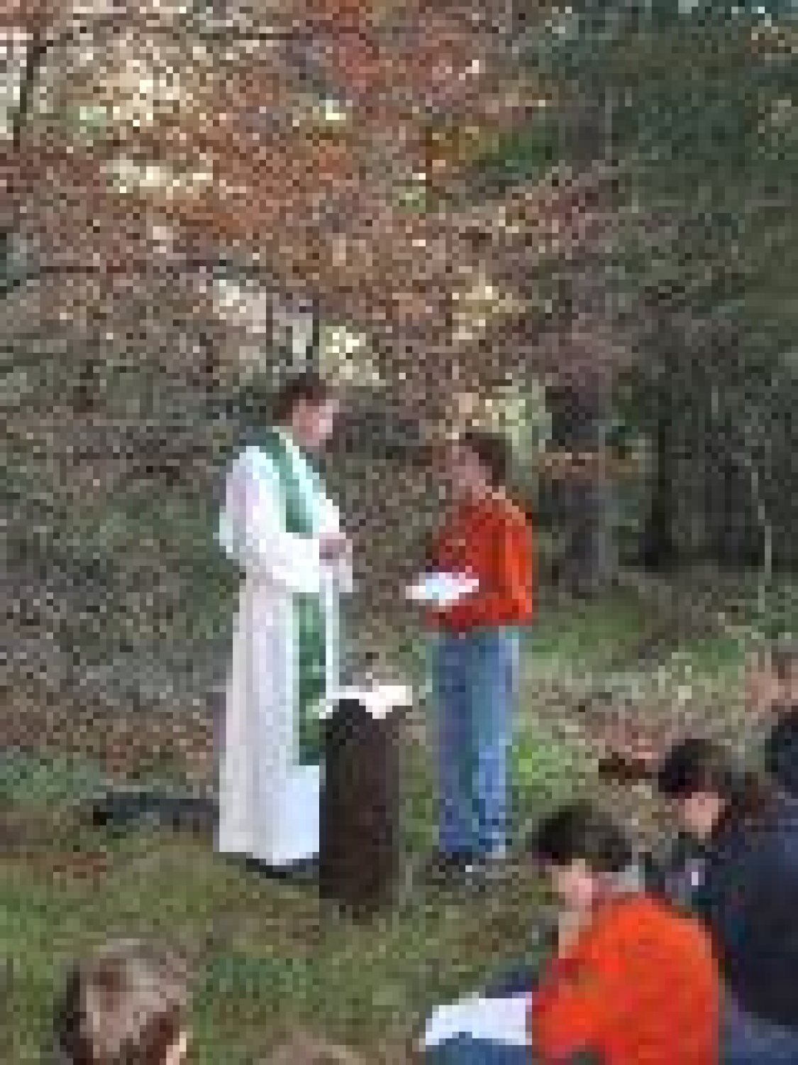 zlo dober priporočam ogled