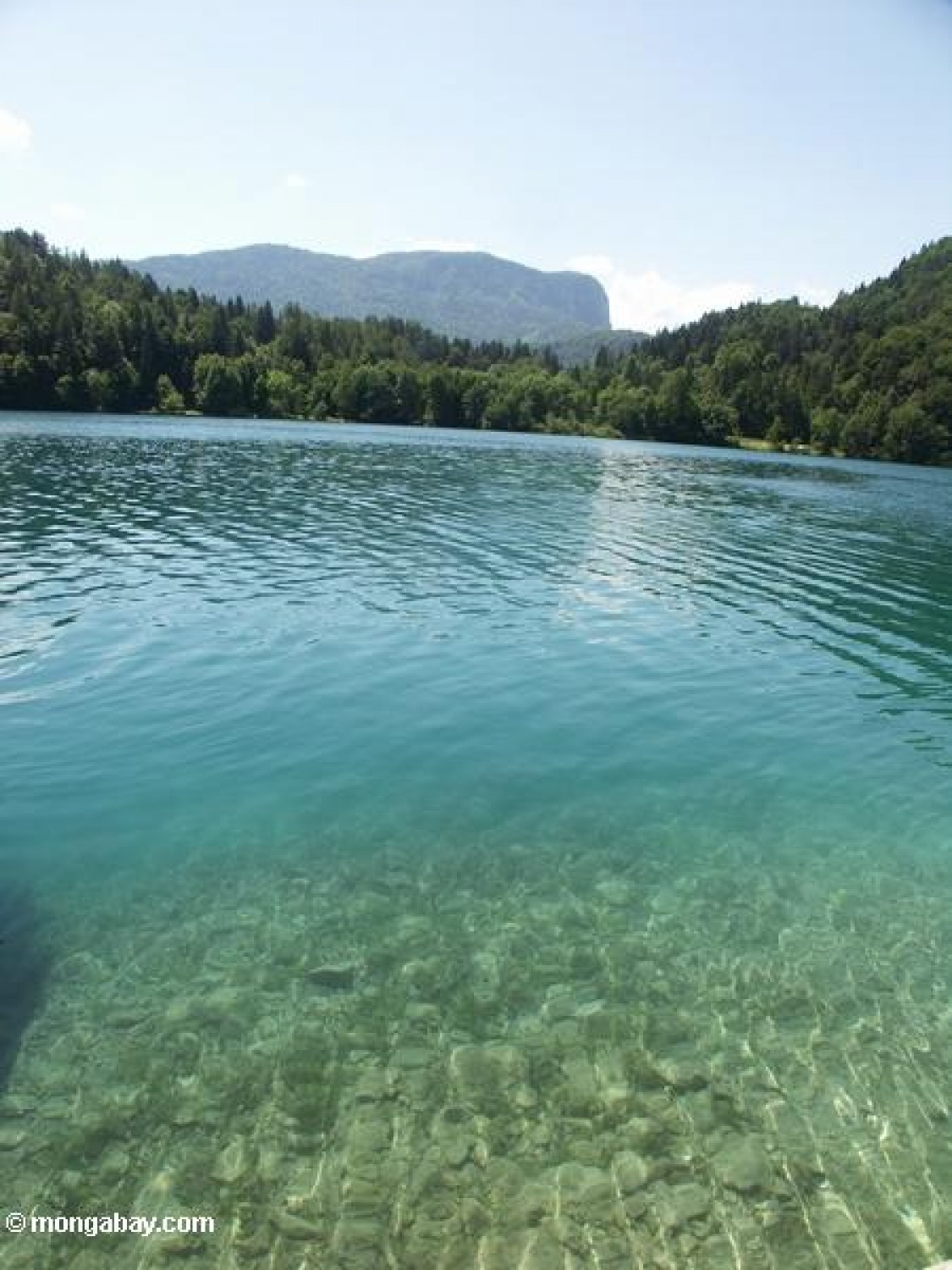Skupina ljudi se je odločila, da gre v samoto. To so še ljudje starega kova, ljudje, ki imajo še staro znanje in staro modrost naših prednikov. Vajeni narave, gozda in lepot narave so se odločili, da gredo na pot. Na pot po Gorenjski, na pot v naravo in na pot, poiskat učence, ki so jim pripravljeni prisluhnit.