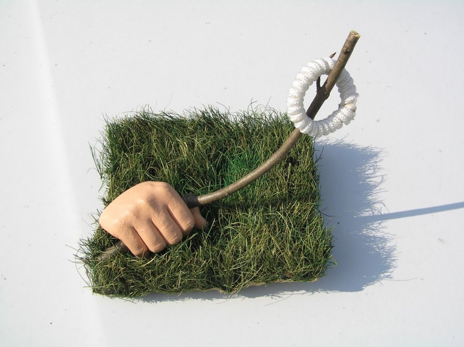 še fotgrafije dogodka