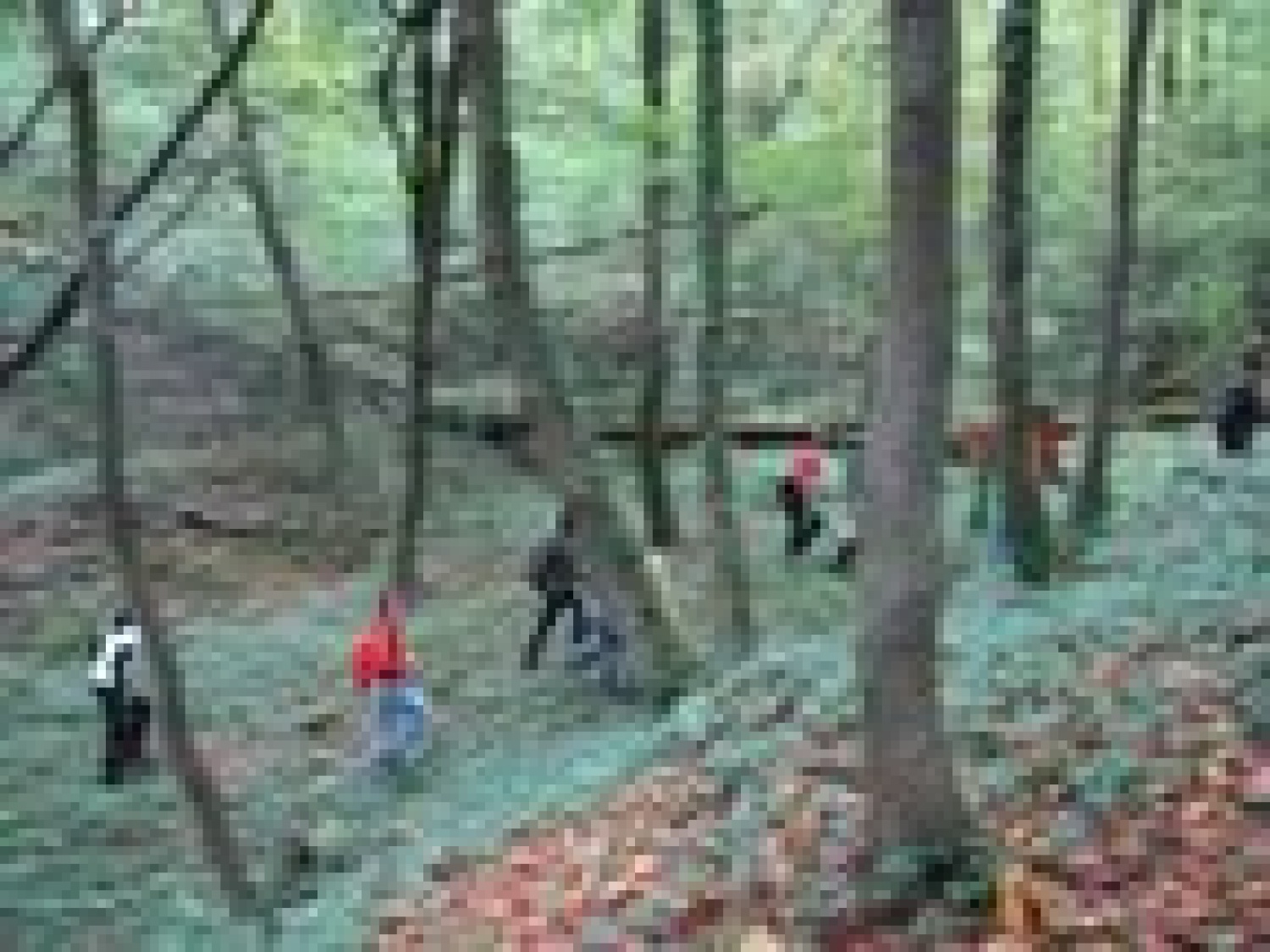 Slike z jesenskega dneva ptujskega stega, 7. 10. 2007.