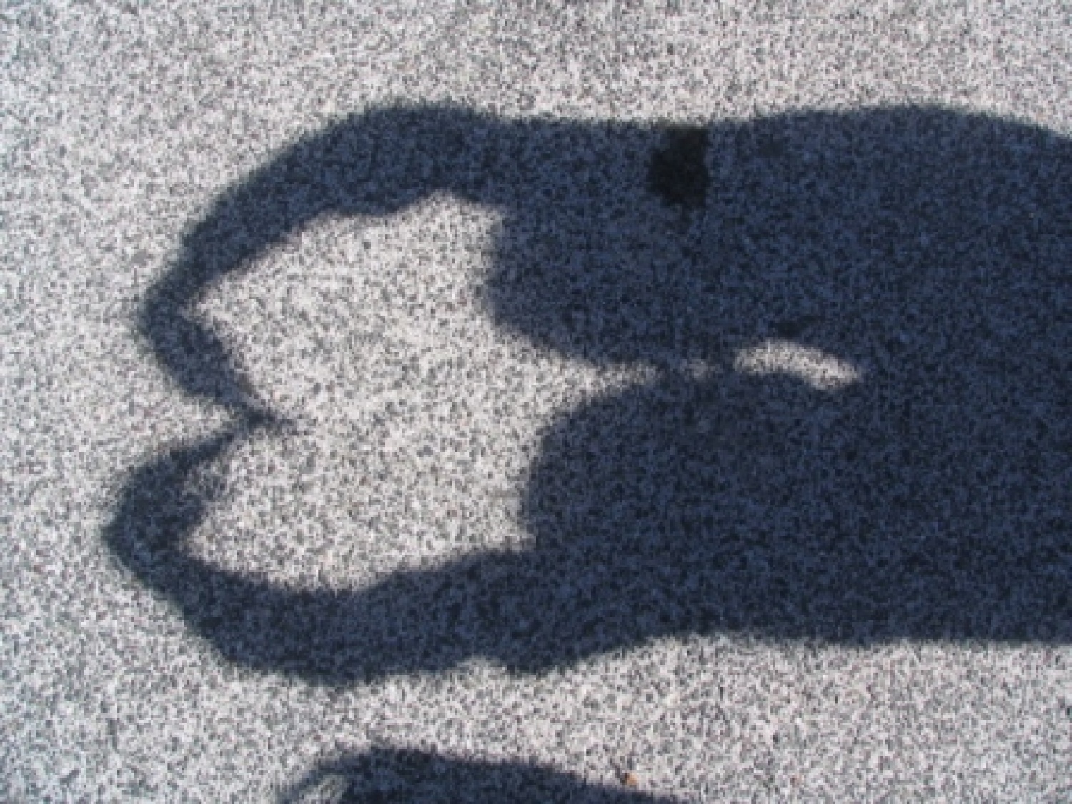 Slike povedo največ! Kaj vse se je zgodilo med počitnicami v naši skavtski skupini si oglej spodaj!