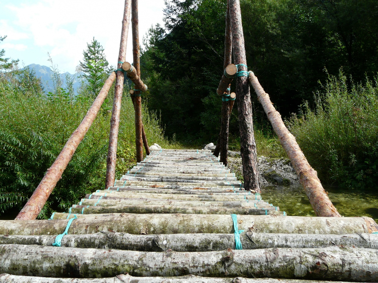 Ko se sprehodi hrček čez most, vidi tako