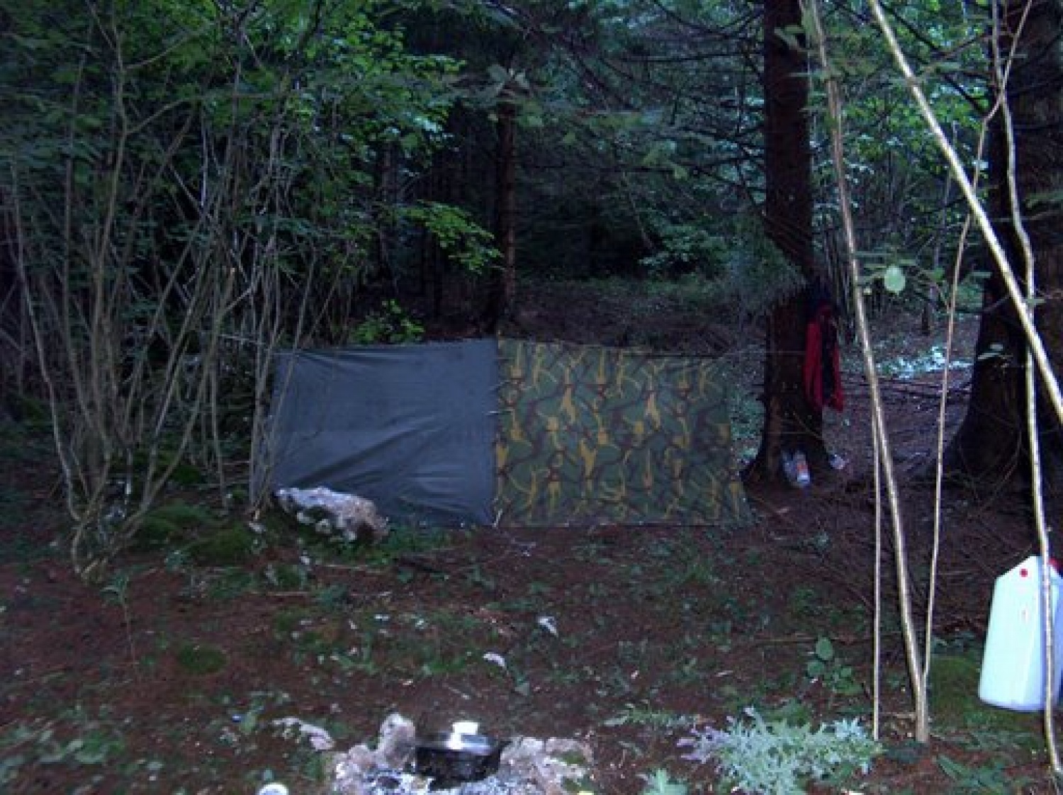 Taborna šola življenja v naravi